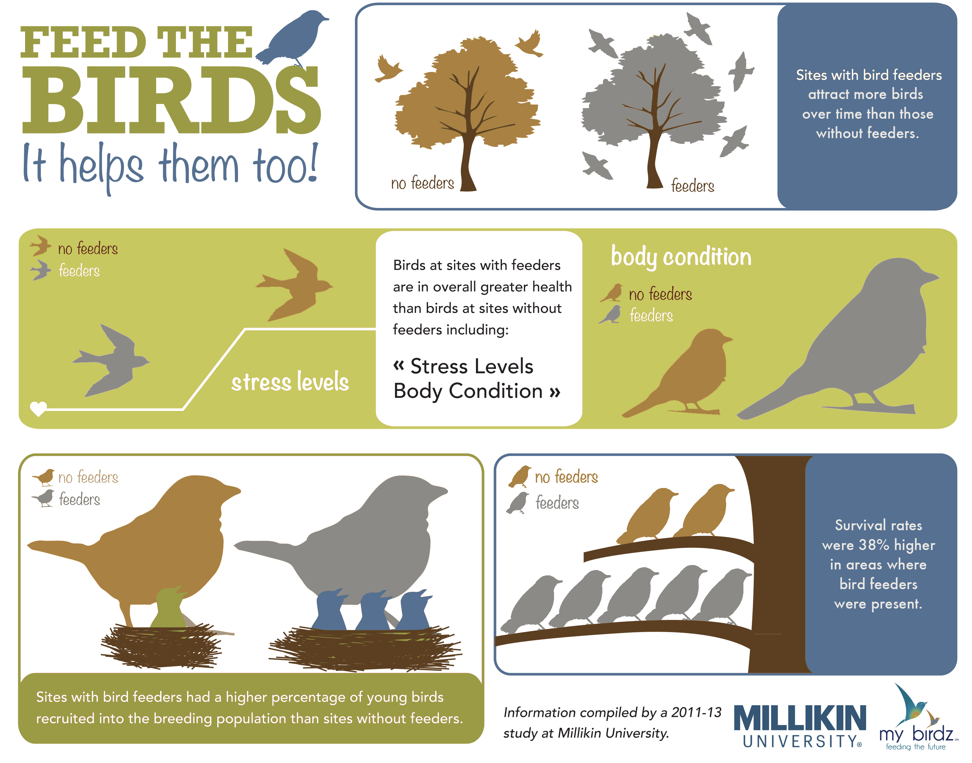 671150 descargar imagen miscelaneo, mes nacional de alimentacion de aves: fondos de pantalla y protectores de pantalla gratis