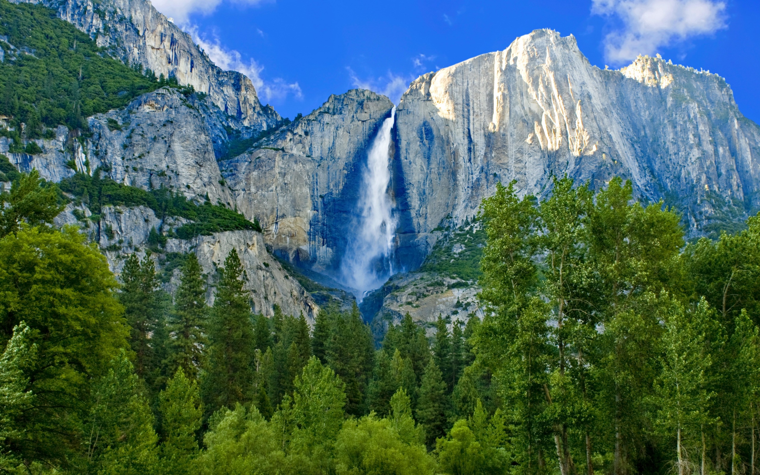 Laden Sie das Wasserfälle, Wasserfall, Wald, Baum, Klippe, Erde/natur-Bild kostenlos auf Ihren PC-Desktop herunter