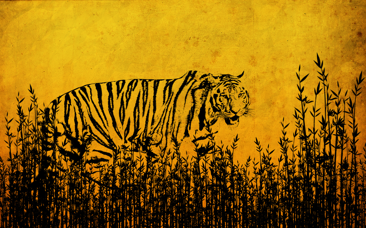 Free download wallpaper Cats, Tiger, Animal on your PC desktop
