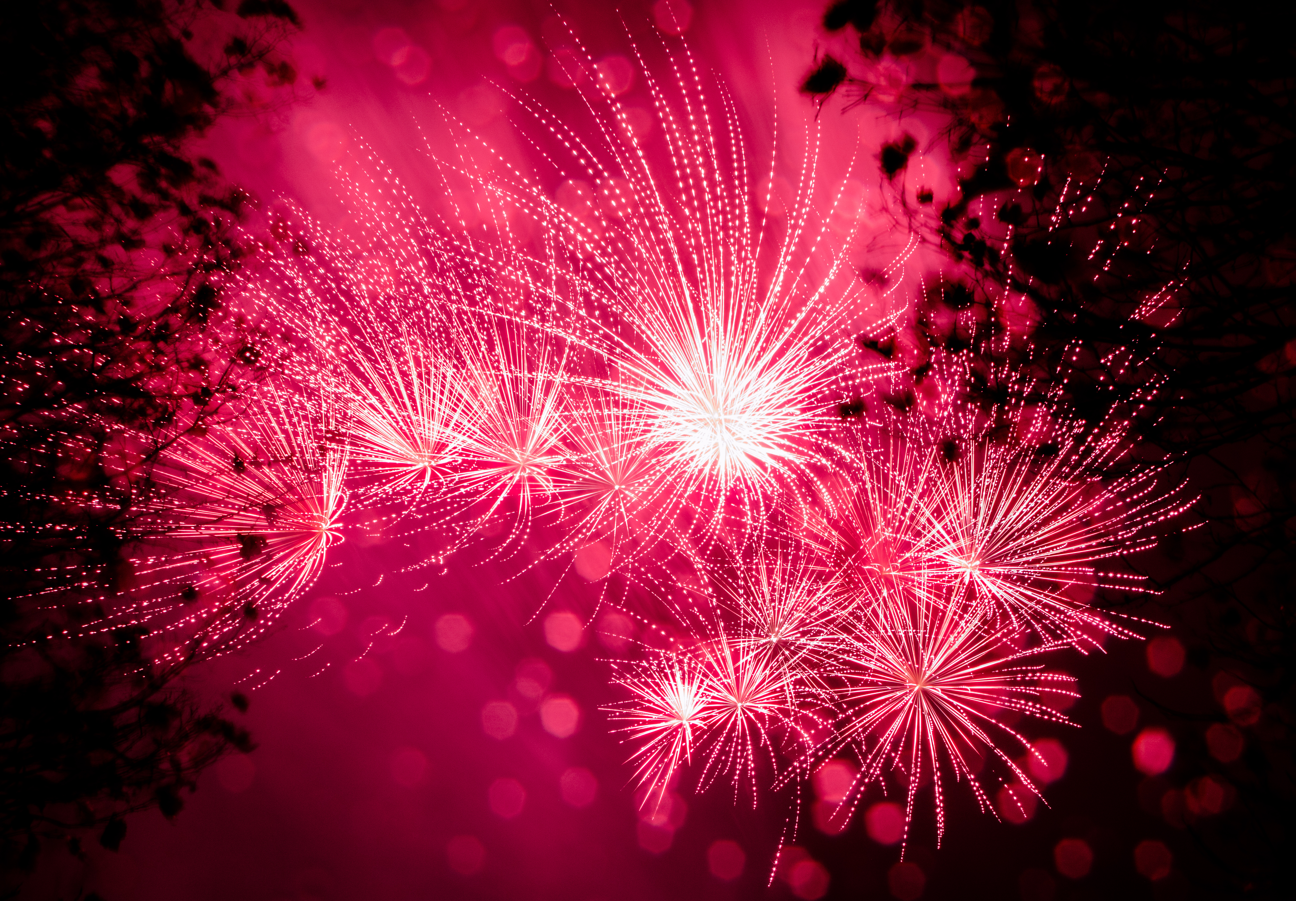 holidays, pink, salute, sparks, holiday, fireworks, firework