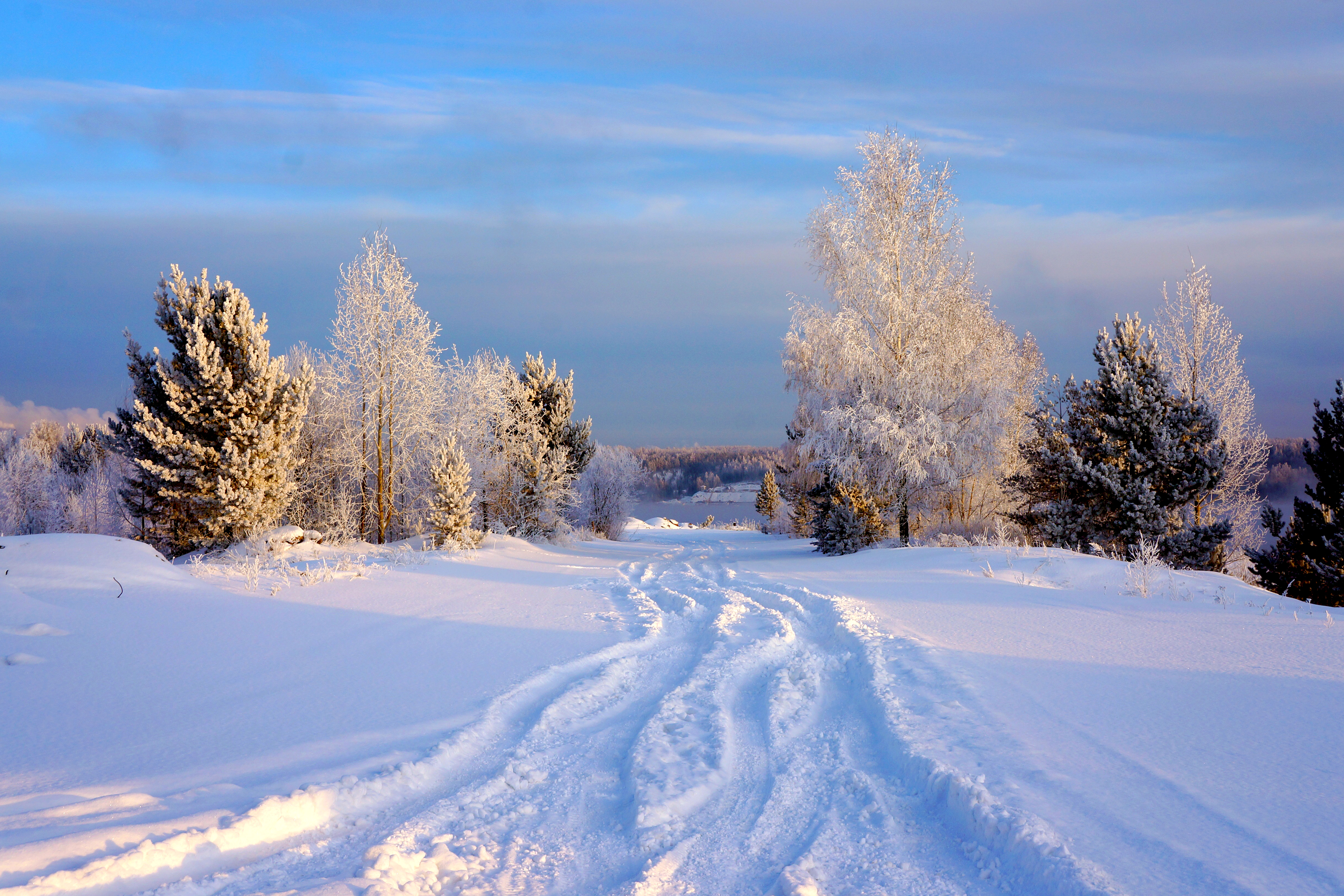 Descarga gratis la imagen Invierno, Nieve, Camino, Árbol, Tierra/naturaleza en el escritorio de tu PC