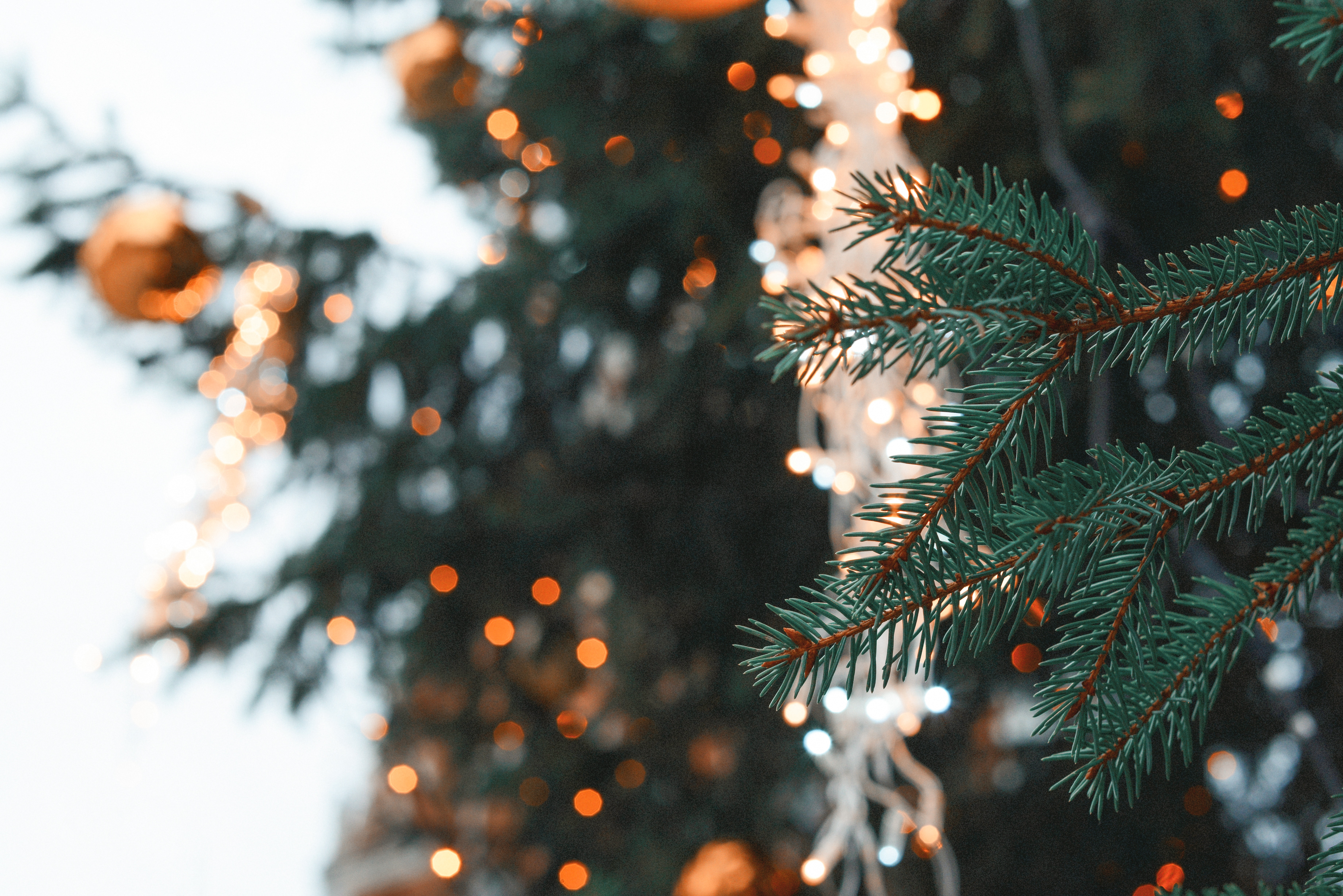 Free download wallpaper Needle, New Year, Spruce, Fir, Nature, Christmas, Glare, Branch on your PC desktop