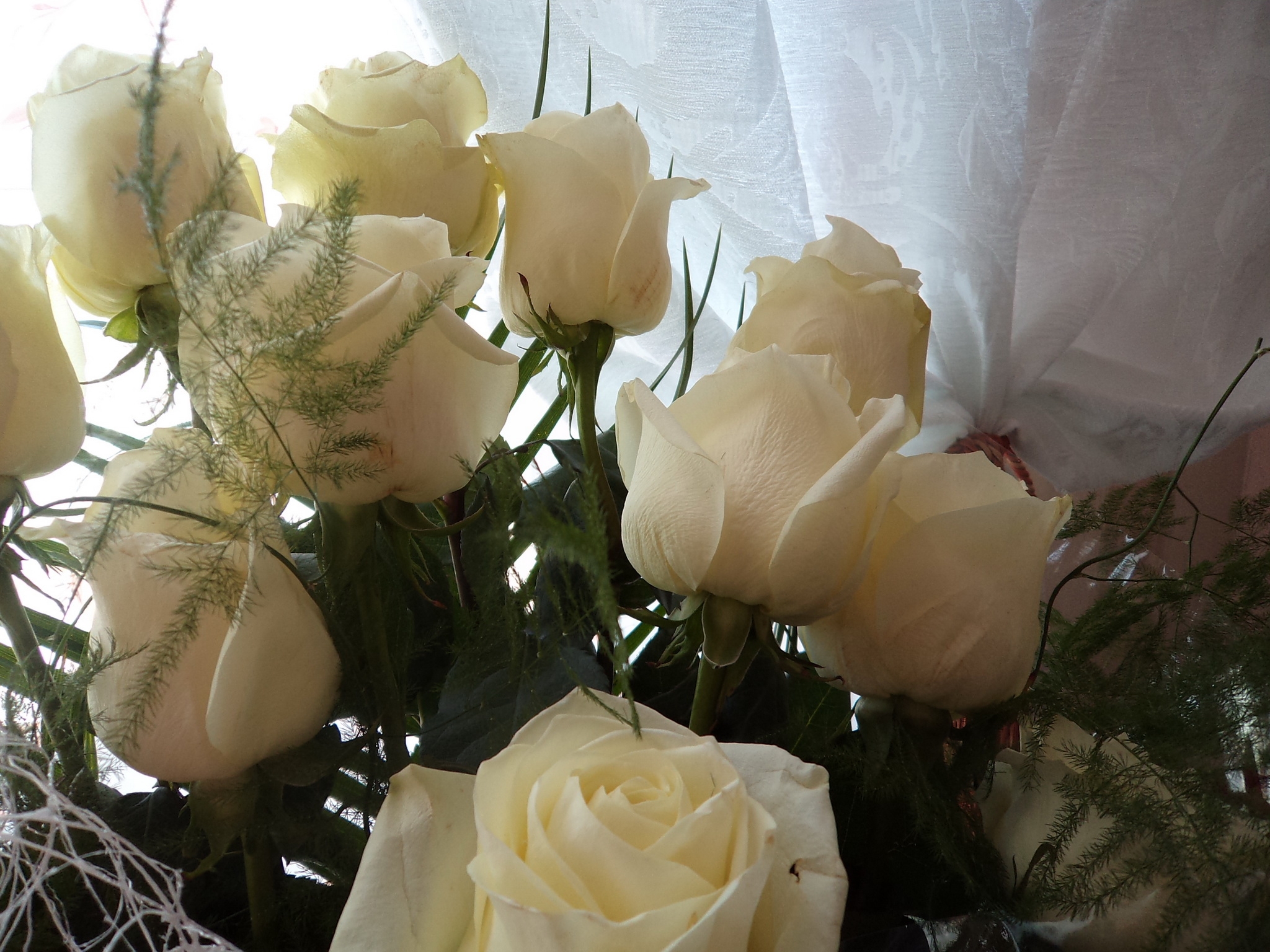 Скачать картинку Белый, Розы, Цветы, Букет в телефон бесплатно.