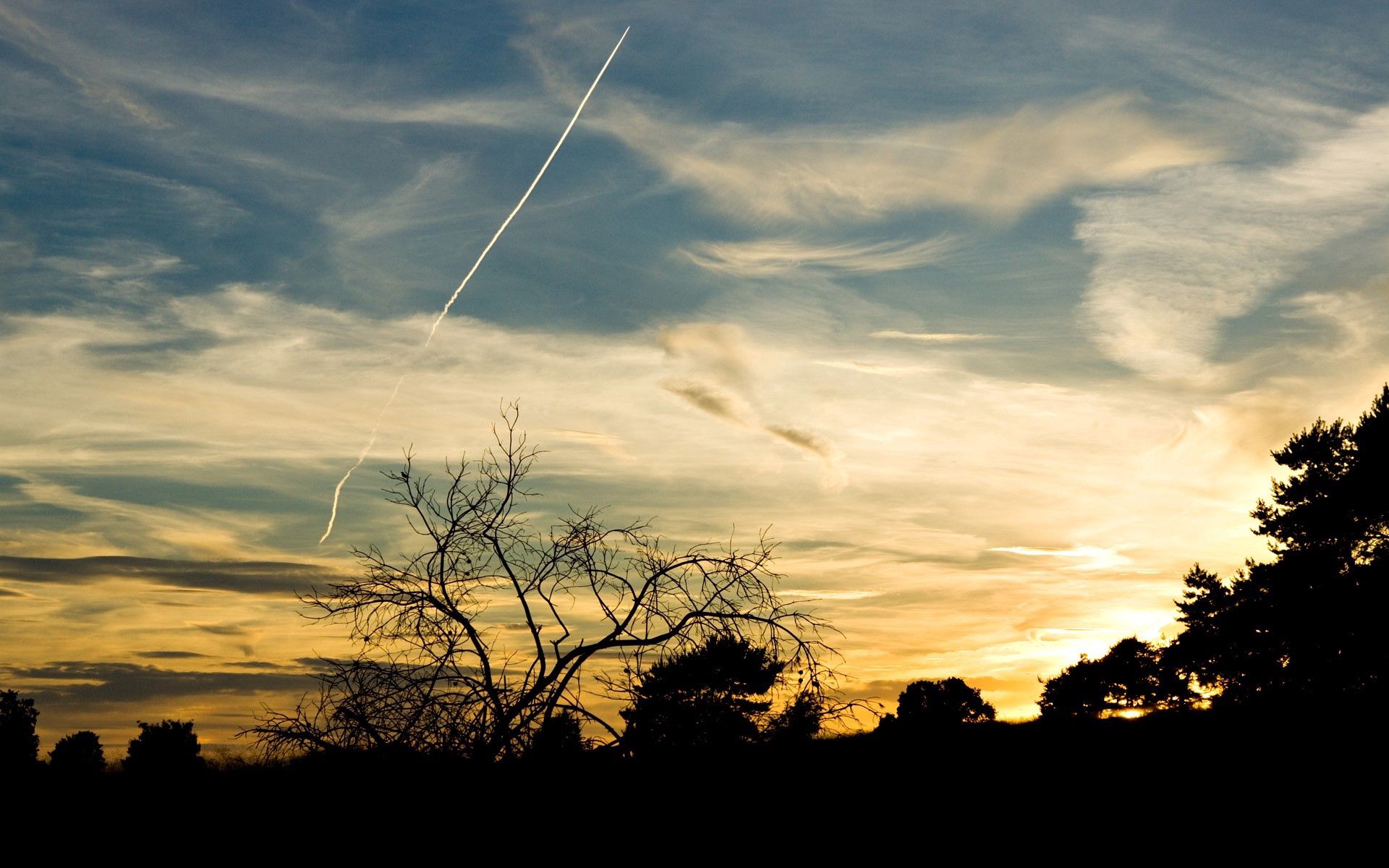 plane, nature, trees, sky, twilight, silhouettes, dusk, evening, airplane, traces 32K