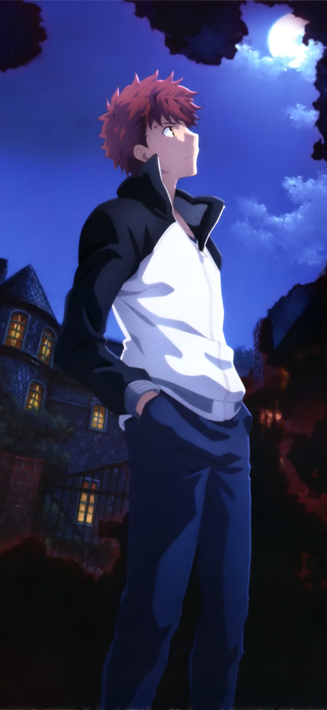 Download mobile wallpaper Anime, Shirou Emiya, Fate/stay Night Movie: Heaven's Feel, Fate Series for free.