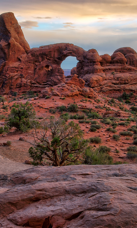 Download mobile wallpaper Desert, Earth, Arch, National Park, Arches National Park for free.