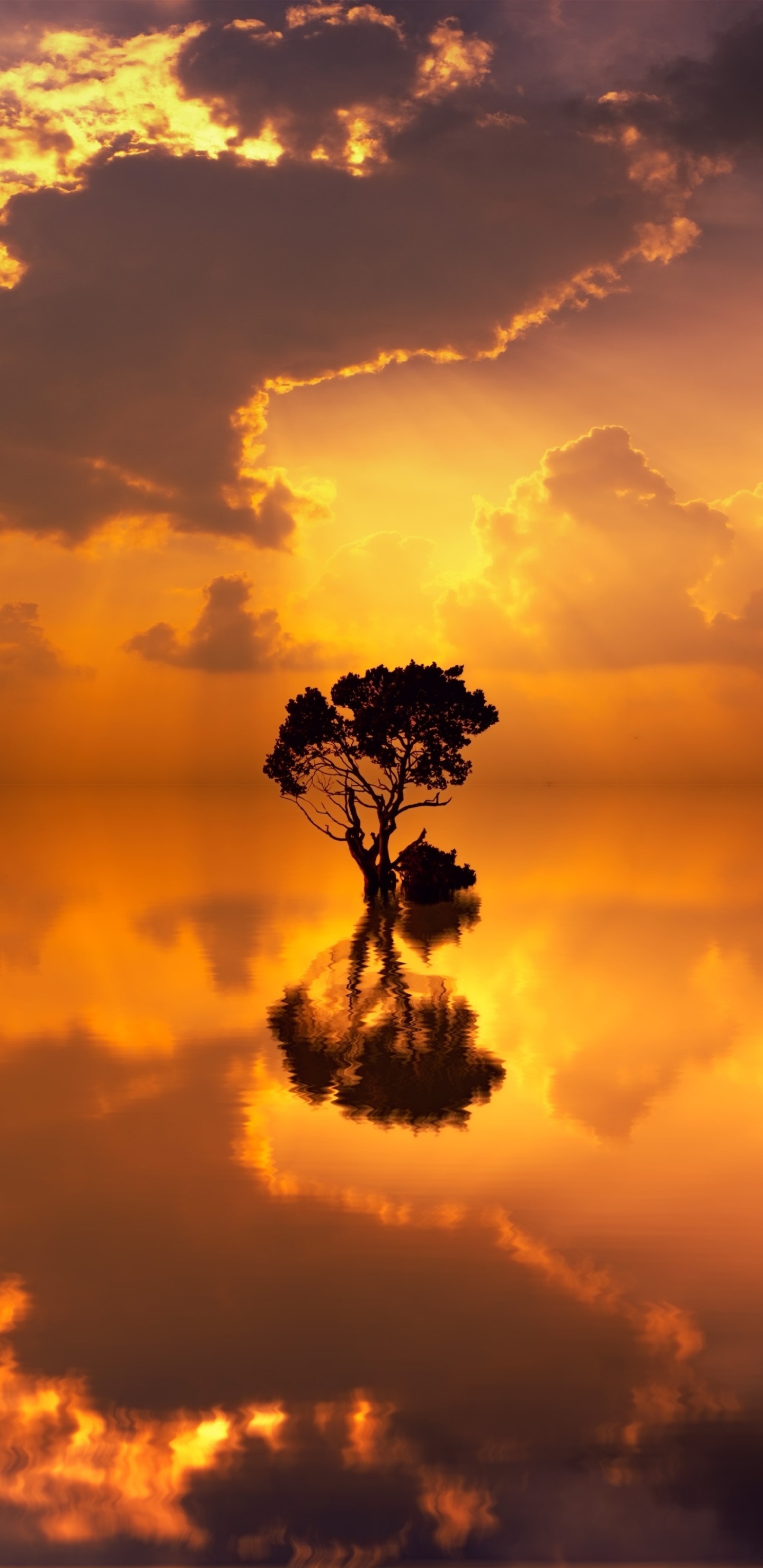 Download mobile wallpaper Sunset, Lake, Reflection, Tree, Earth, Cloud for free.