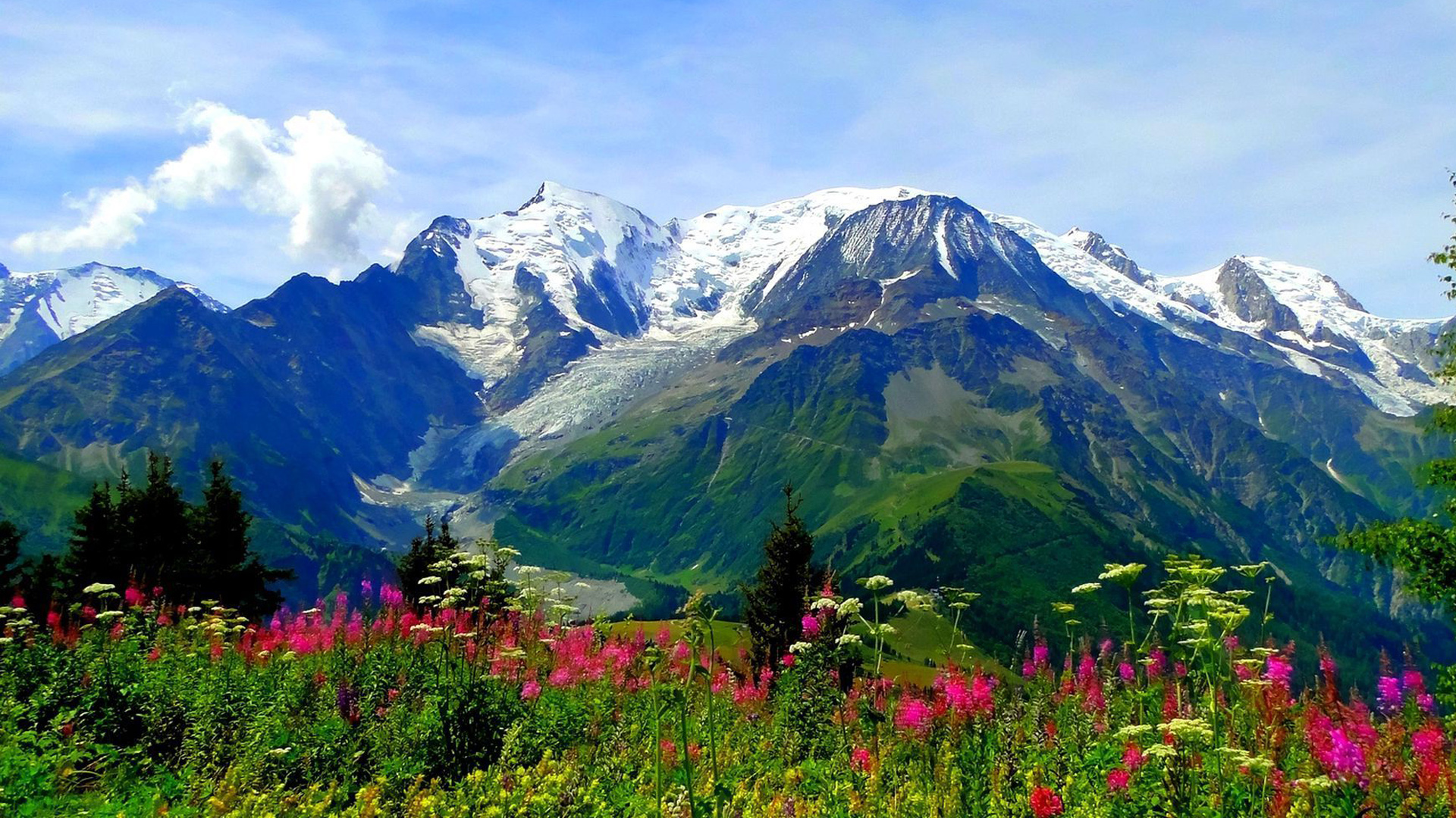 Скачать картинку Гора, Цветок, Поле, Весна, Ландшафт, Земля/природа в телефон бесплатно.