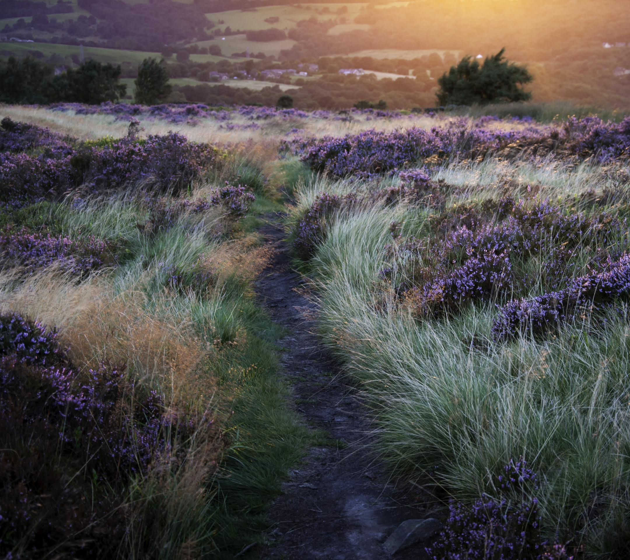 Téléchargez gratuitement l'image Paysage, Terre/nature sur le bureau de votre PC