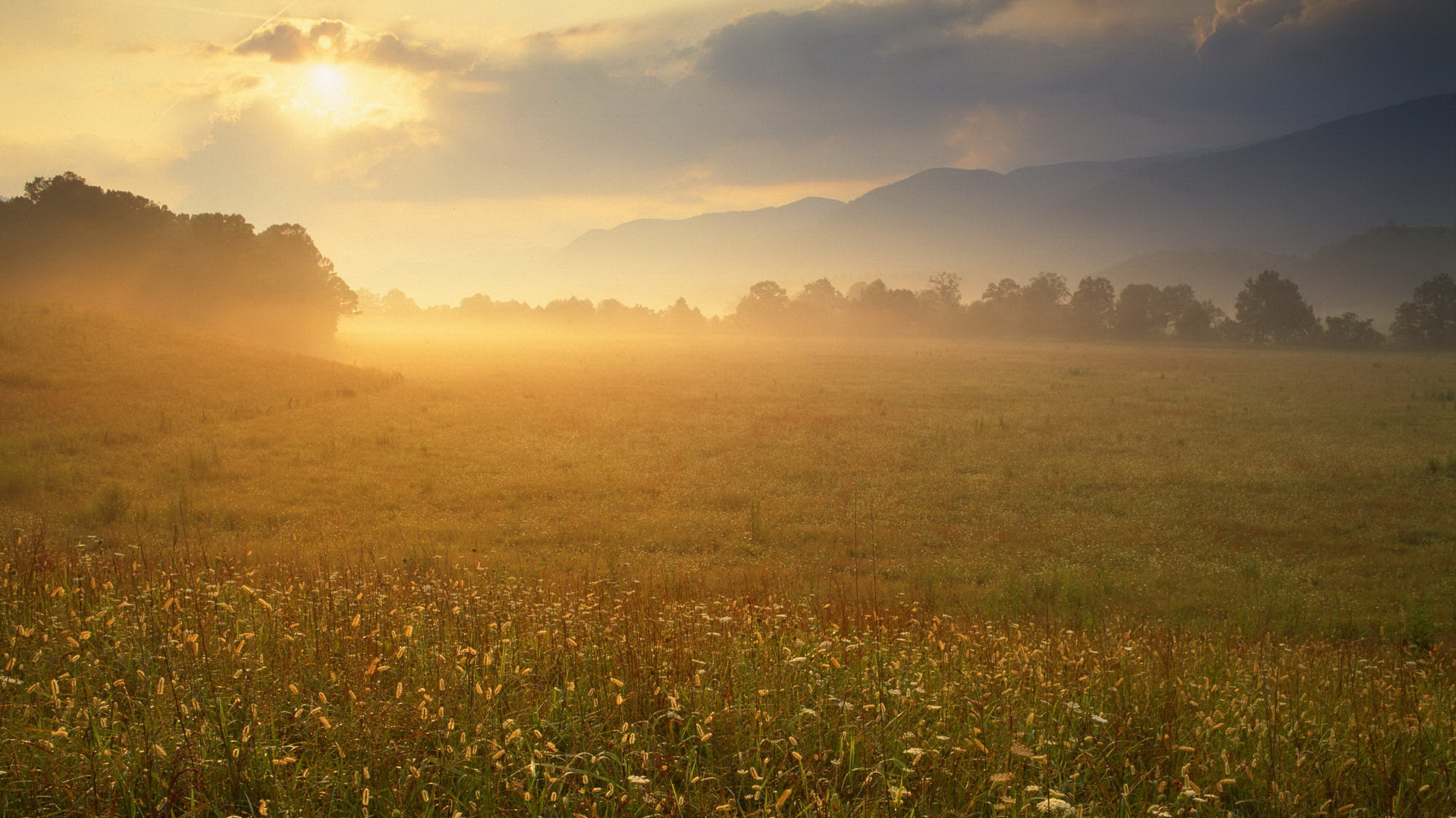 Téléchargez gratuitement l'image Rayon De Soleil, Terre/nature sur le bureau de votre PC