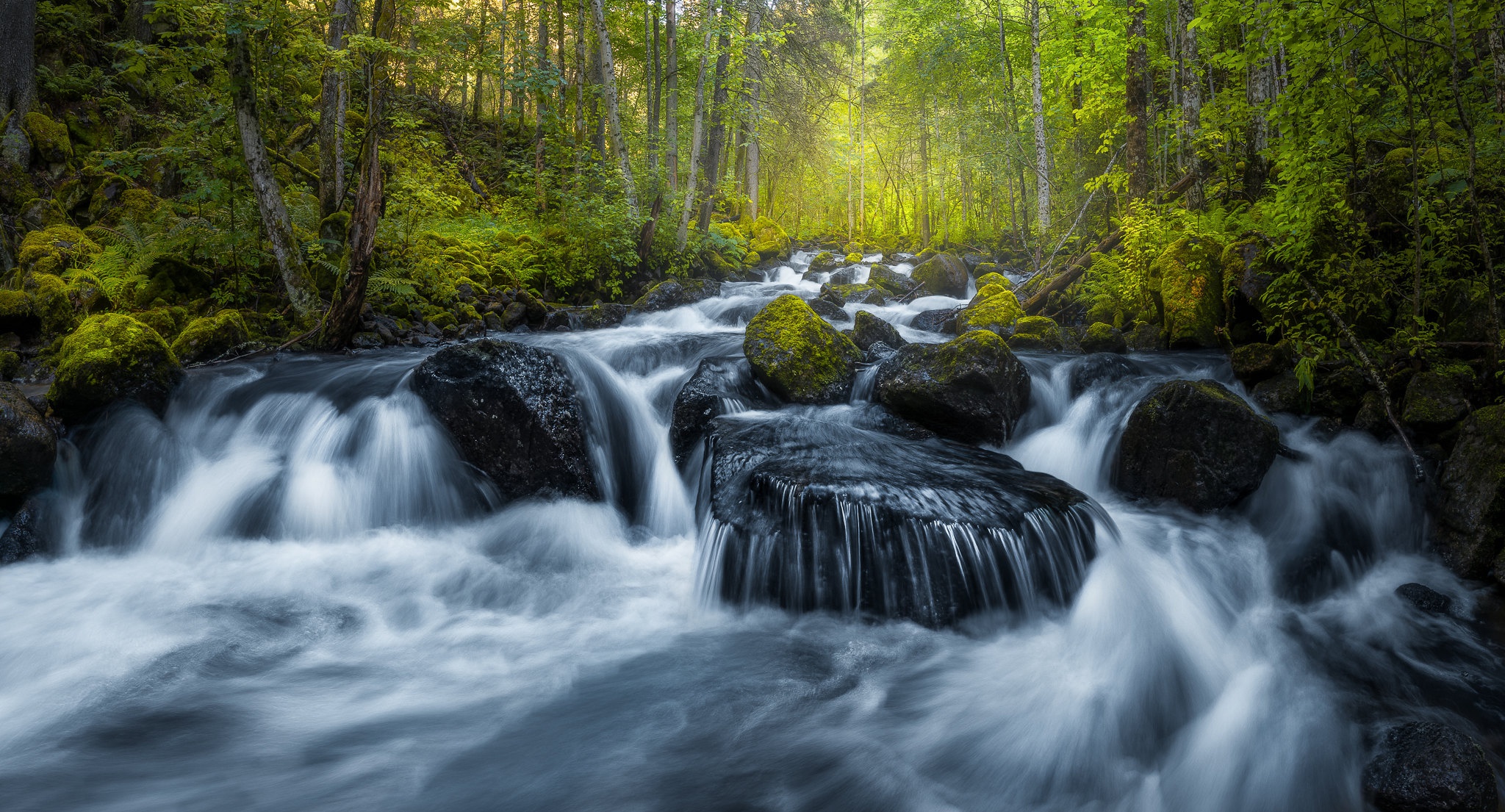 Laden Sie das Natur, Wald, Fluss, Stein, Norwegen, Erde/natur-Bild kostenlos auf Ihren PC-Desktop herunter