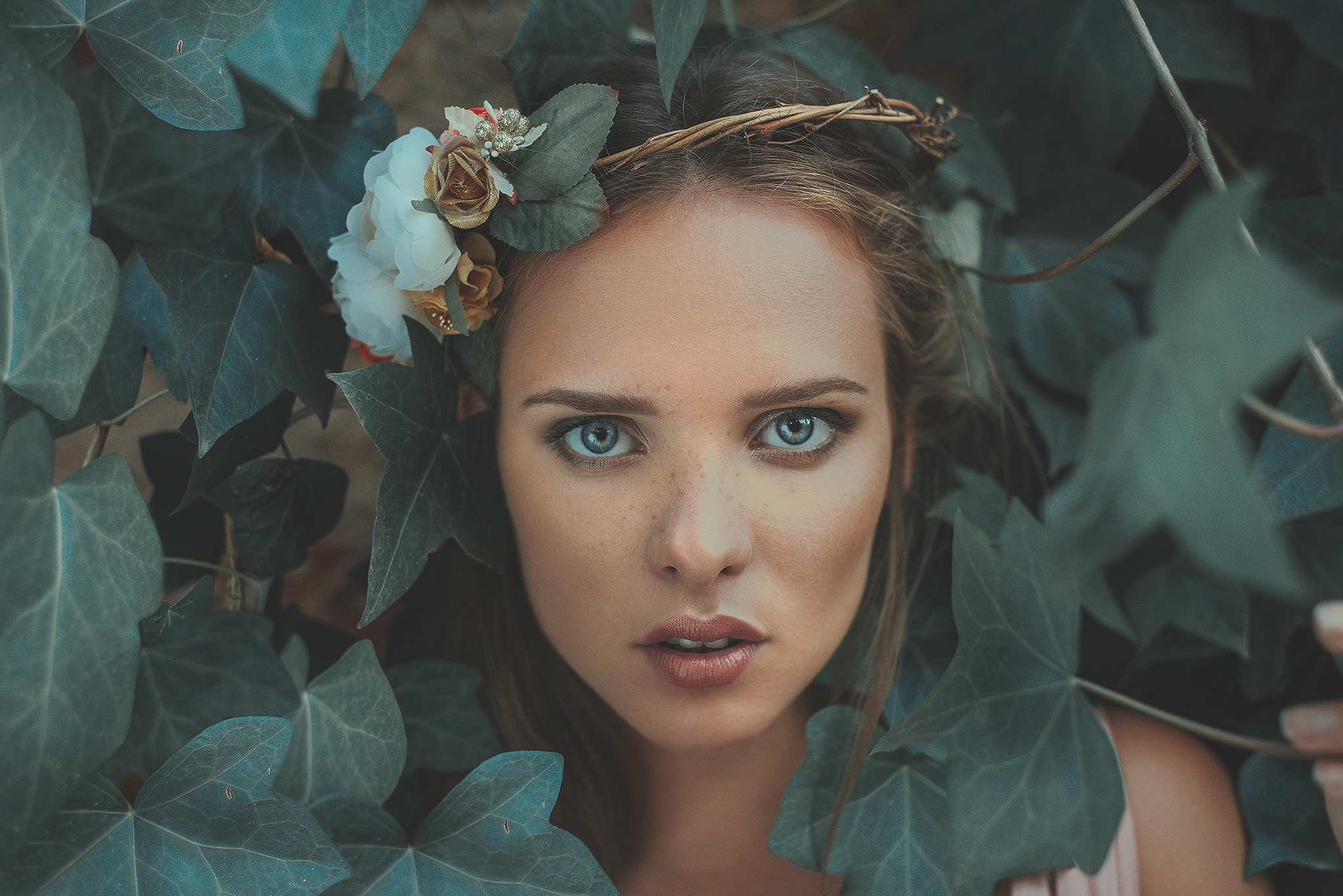 women, face, blue eyes, brunette, ivy, leaf, model, wreath