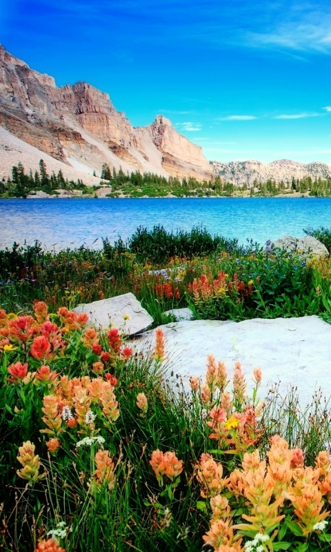 Скачать картинку Пейзаж, Природа, Озера, Гора, Озеро, Цветок, Ландшафт, Земля/природа в телефон бесплатно.