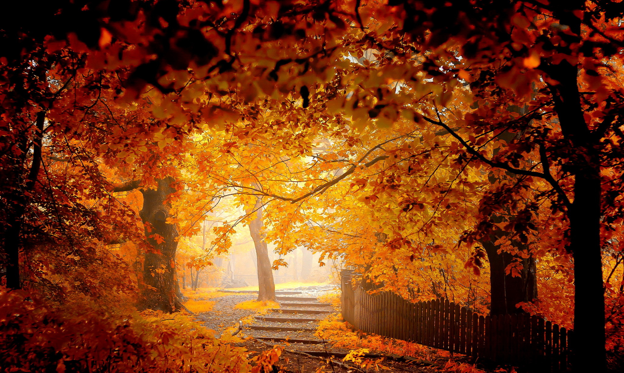 Download mobile wallpaper Park, Tree, Fall, Path, Man Made for free.