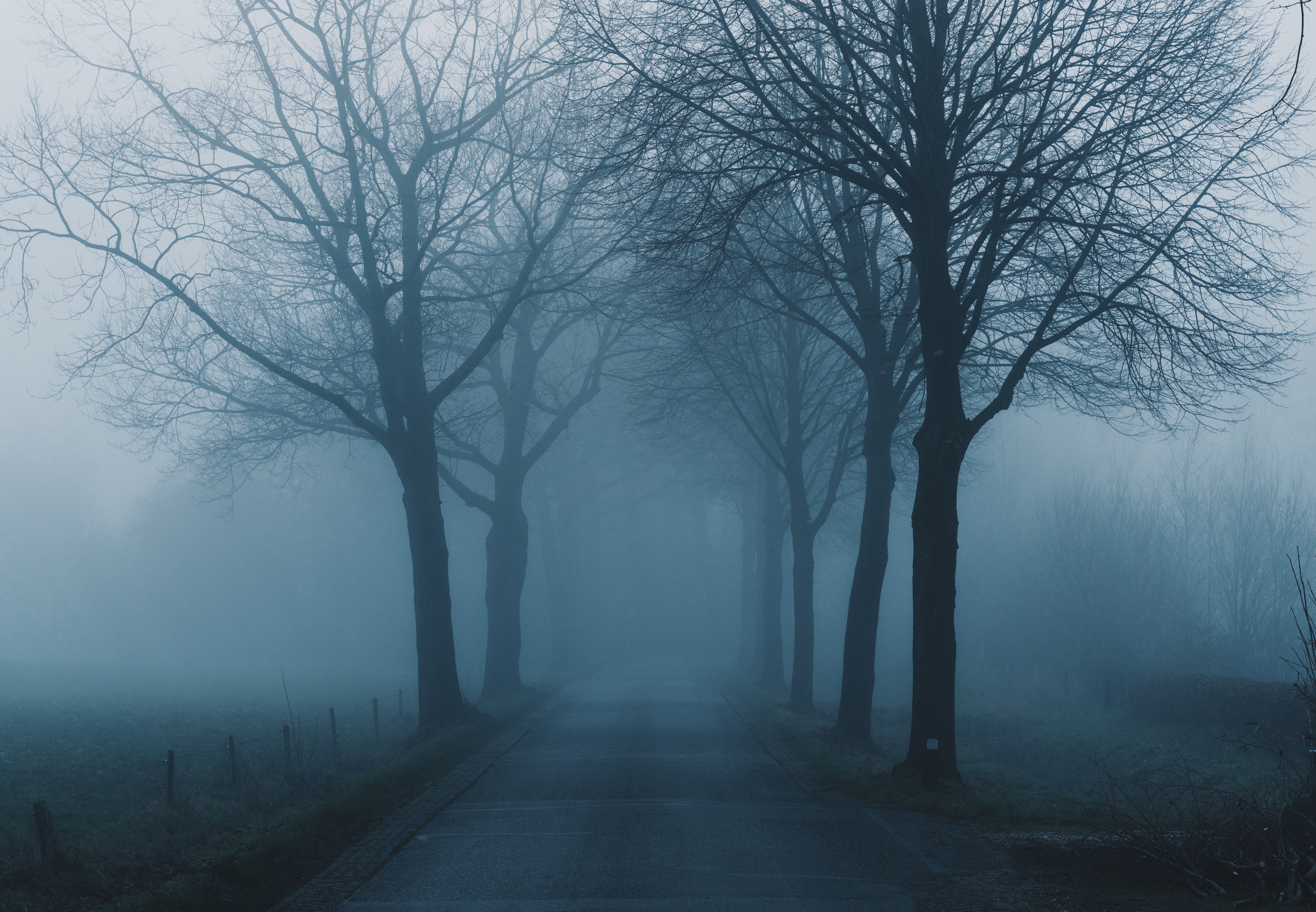 Laden Sie das Natur, Bäume, Straße, Nebel, Haze, Dunst-Bild kostenlos auf Ihren PC-Desktop herunter