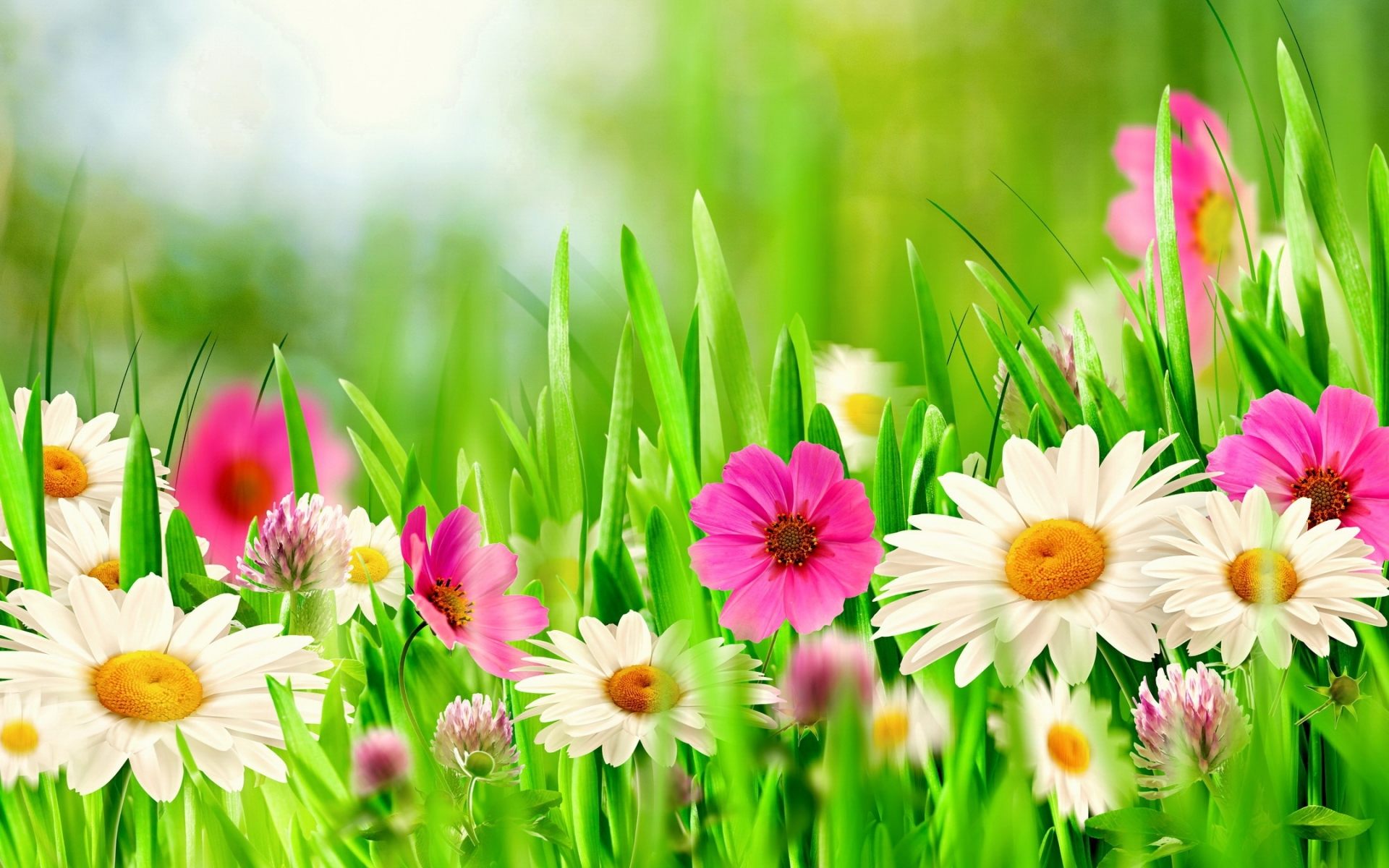 Скачать обои бесплатно Трава, Цветок, Весна, Белый Цветок, Художественные, Розовый Цветок картинка на рабочий стол ПК