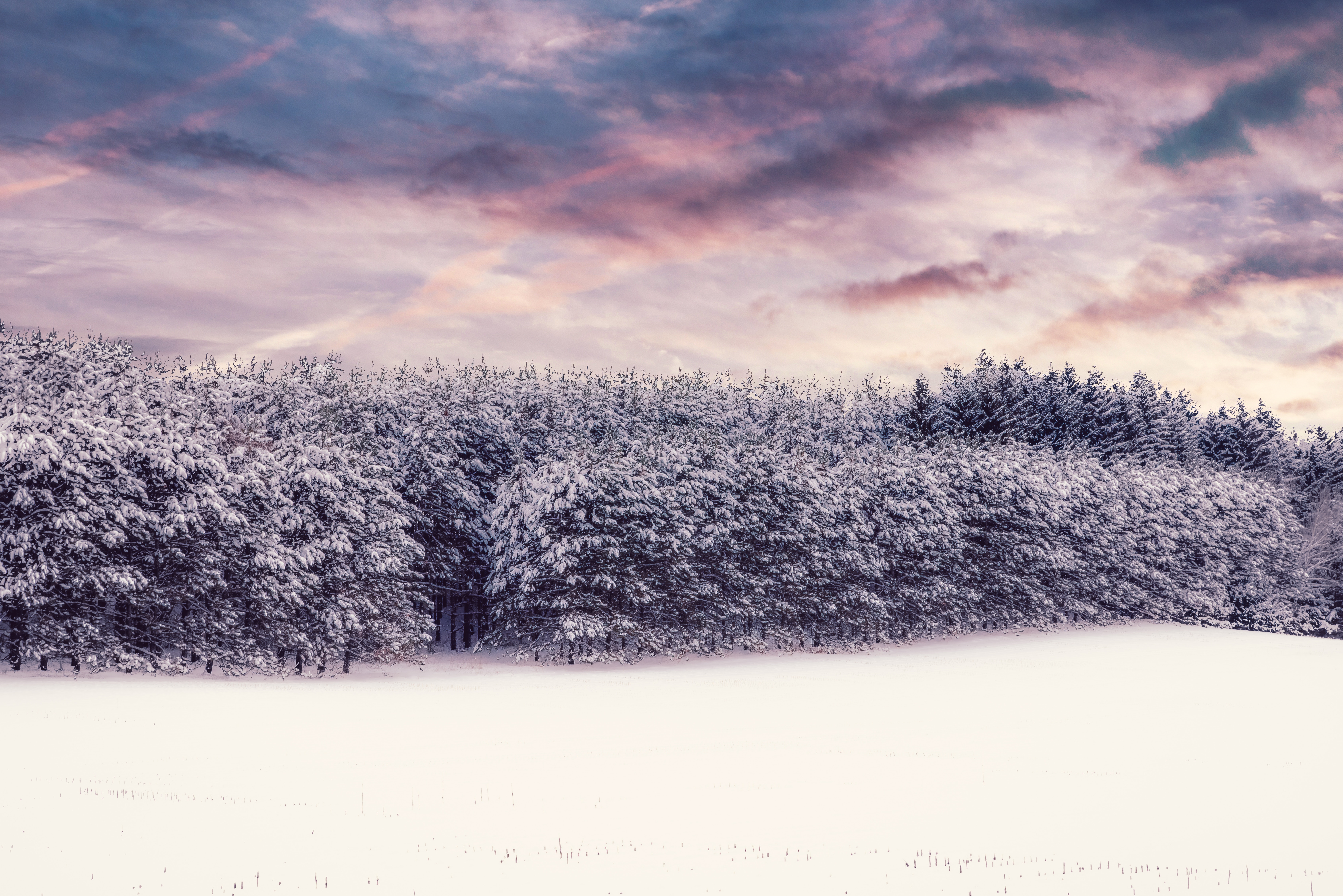 Free download wallpaper Snow Covered, Snowbound, Winter, Nature, Trees, Snow, Forest on your PC desktop