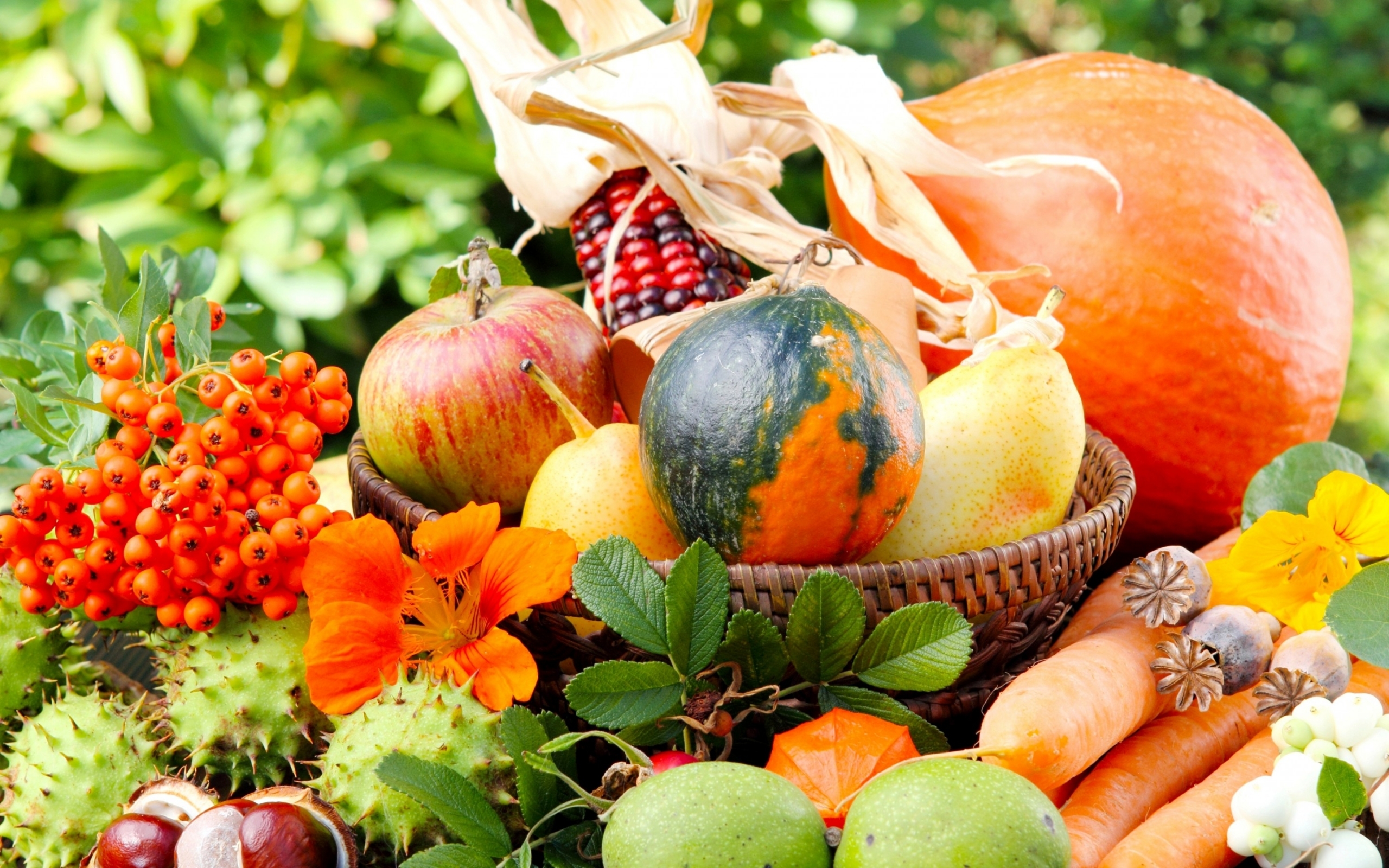 Free download wallpaper Food, Fruits, Vegetables on your PC desktop