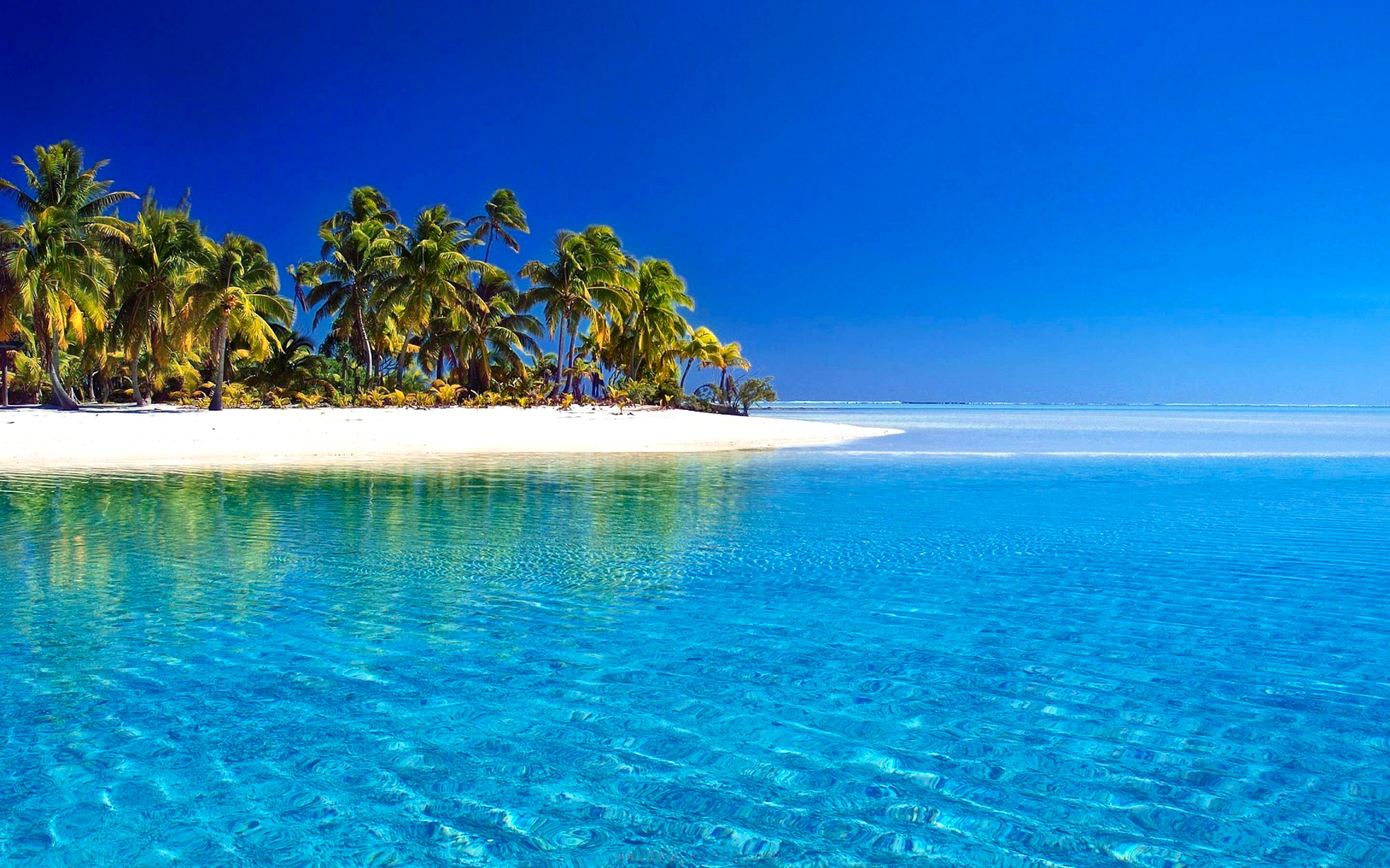 616258 descargar fondo de pantalla playa, azul, mar, verano, palmera, tierra/naturaleza, tropico, horizonte, isla: protectores de pantalla e imágenes gratis