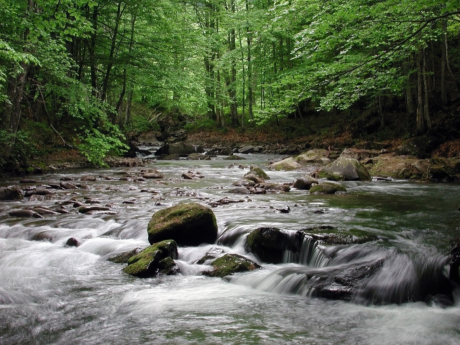 Скачати мобільні шпалери Вода, Річка, Дерева, Камені, Пейзаж безкоштовно.