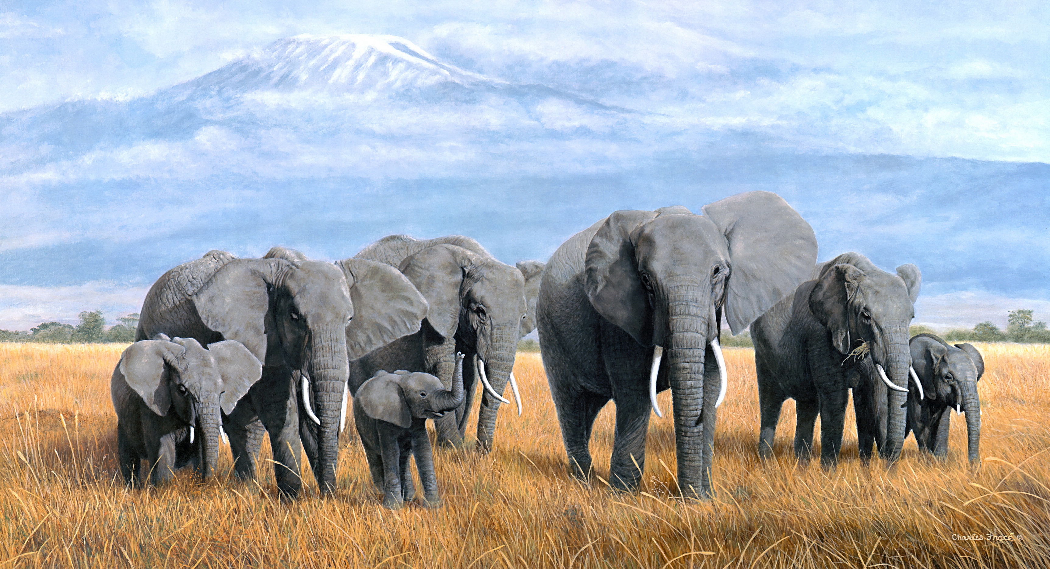 Скачать обои бесплатно Животные, Слоны, Картина, Африканский Слон, Детеныш Животного картинка на рабочий стол ПК