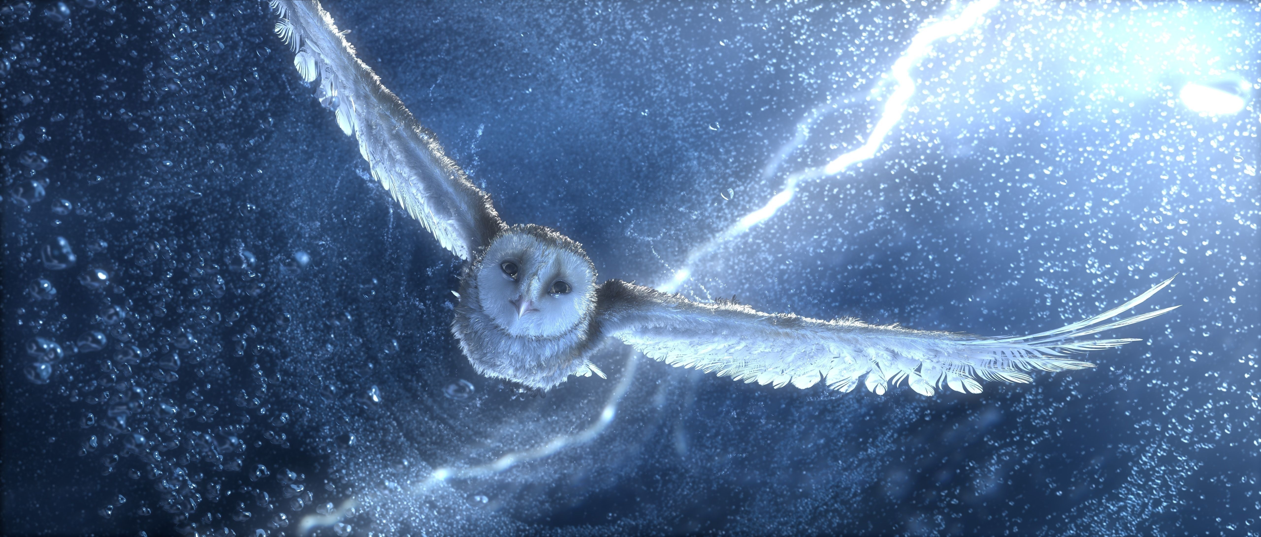 movie, legend of the guardians: the owls of ga'hoole, bird, cgi, owl, snow, wings
