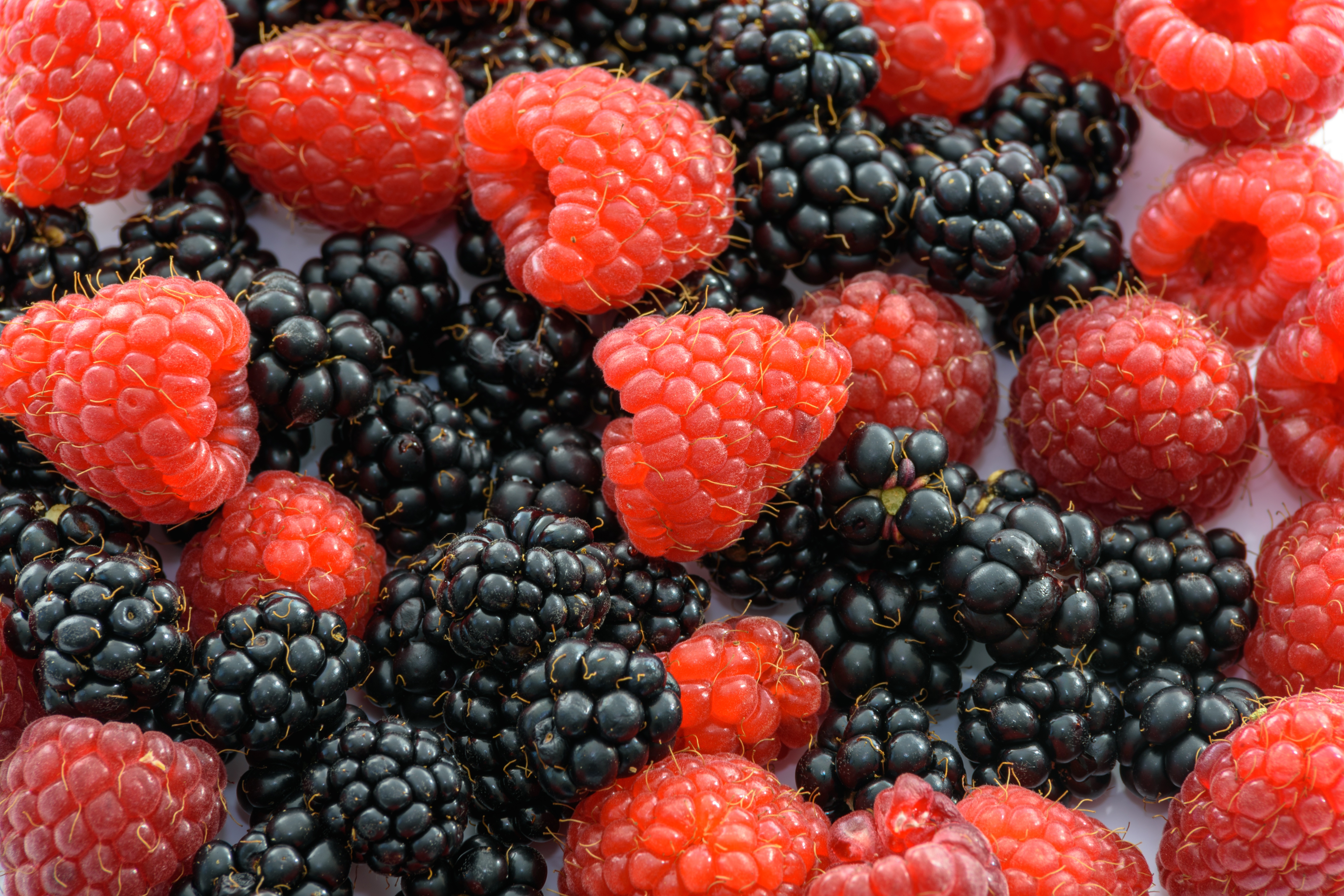 Laden Sie das Erdbeere, Brombeere, Frucht, Nahrungsmittel-Bild kostenlos auf Ihren PC-Desktop herunter