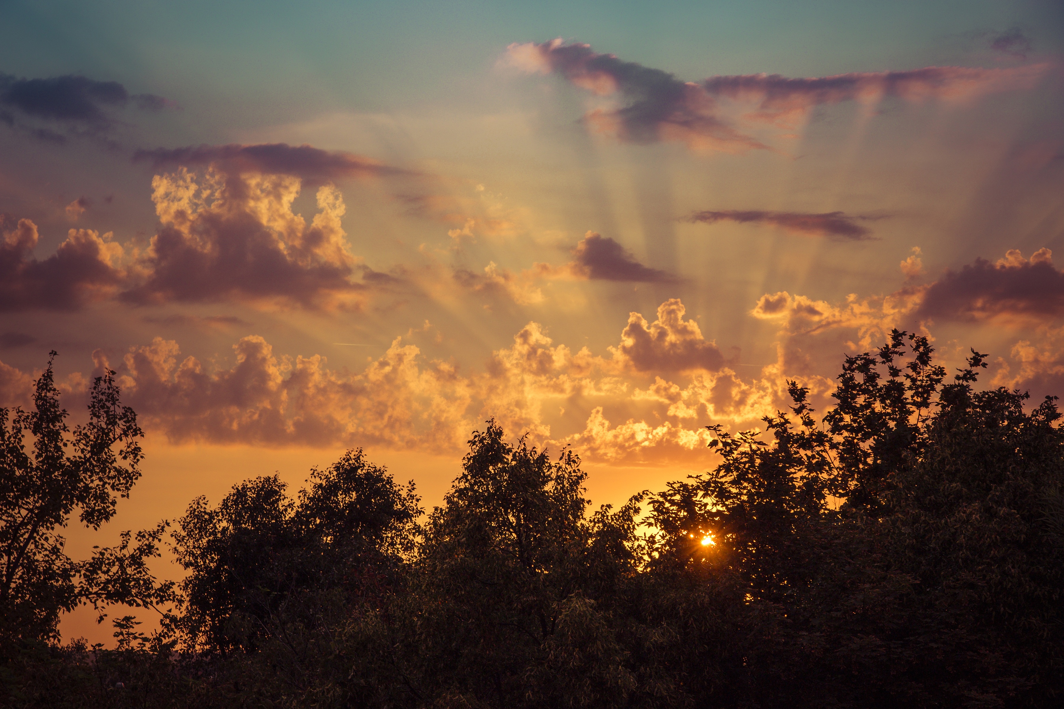 sunrise, trees, rise, nature, sky, clouds HD wallpaper