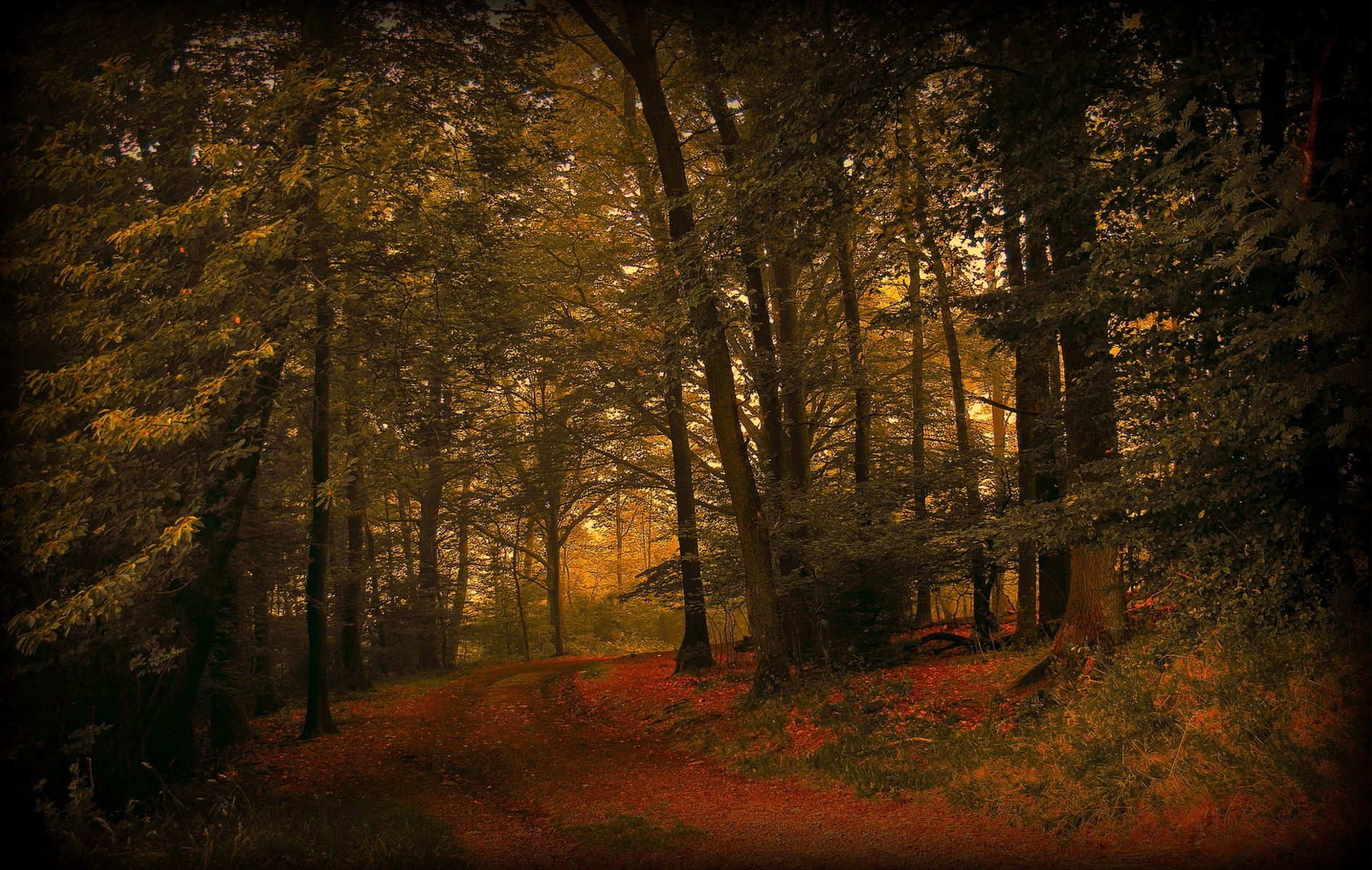 Free download wallpaper Landscape, Trees, Roads on your PC desktop