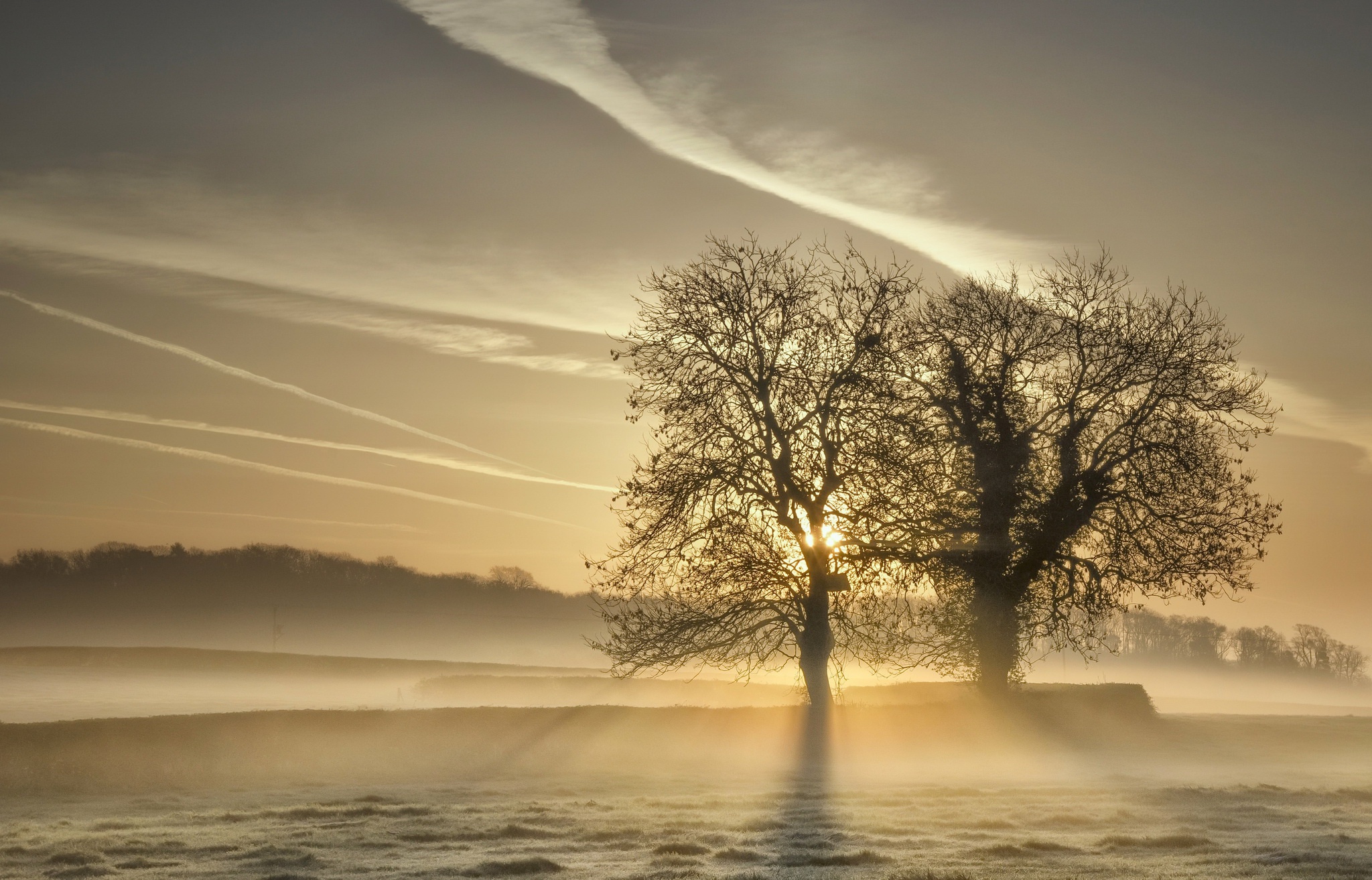 Free download wallpaper Nature, Tree, Fog, Sunrise, Earth, Sunbeam on your PC desktop