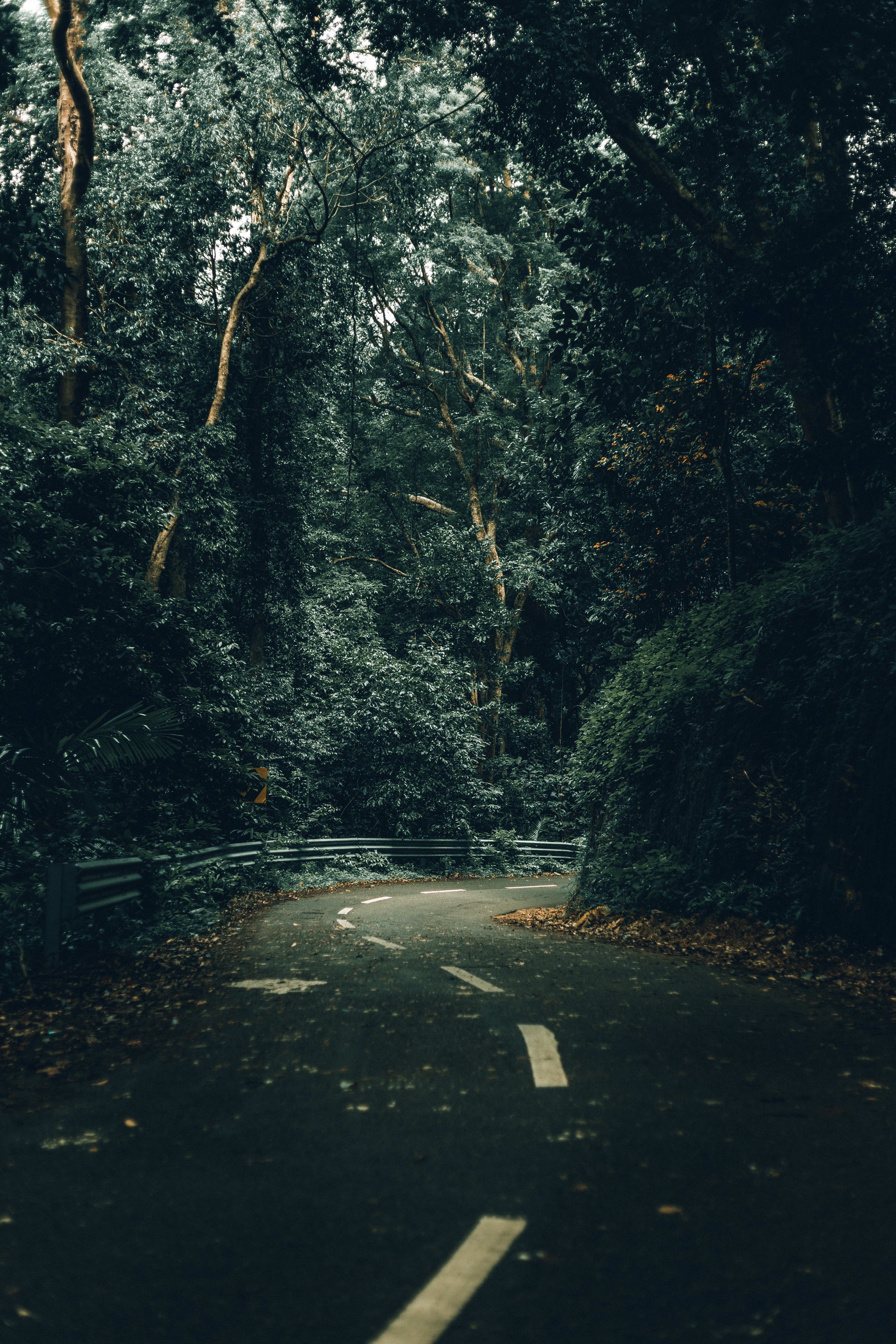 Free download wallpaper Trees, Turn, Road, Nature, Forest on your PC desktop