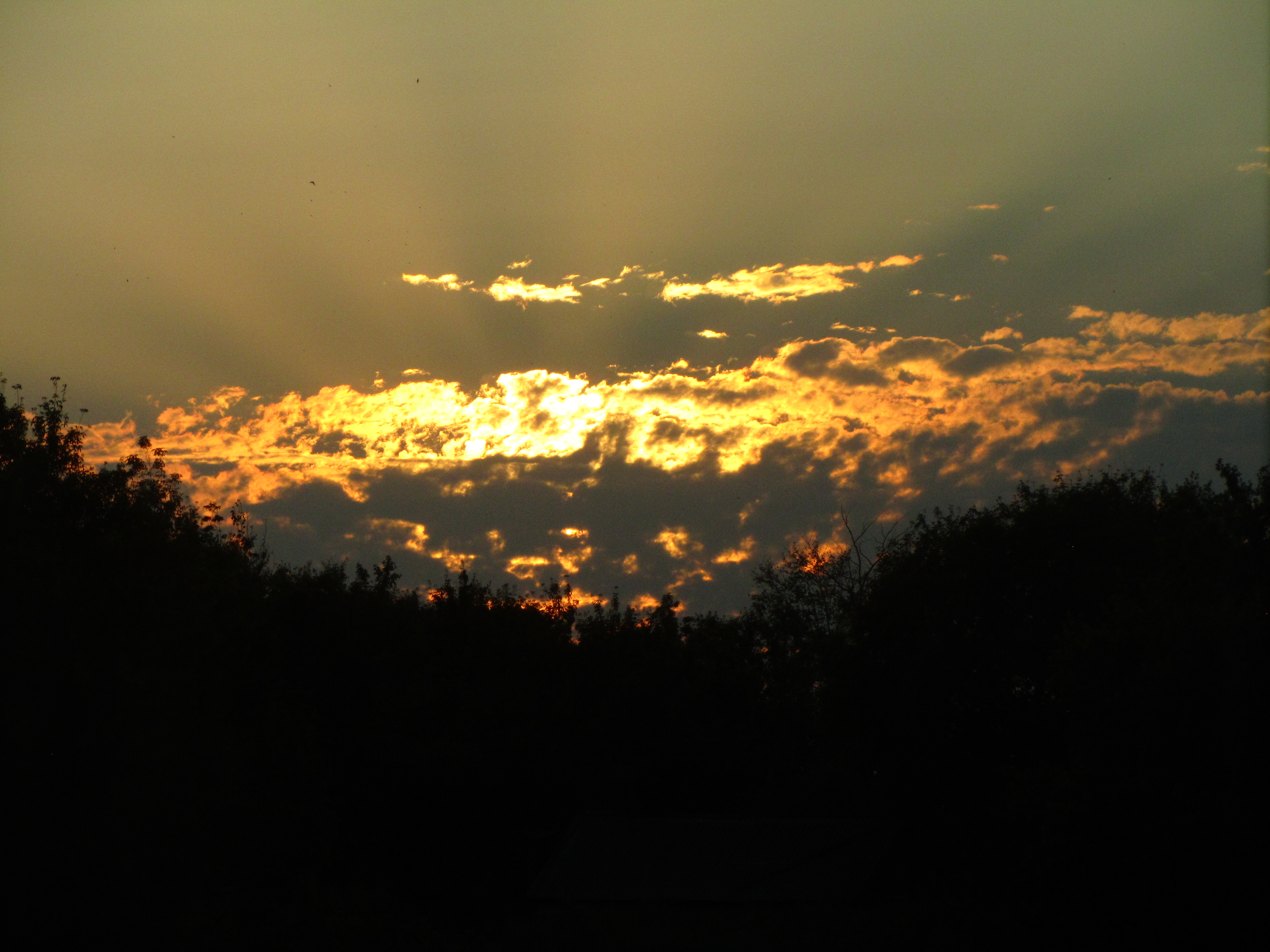 Téléchargez gratuitement l'image Coucher De Soleil, Terre/nature sur le bureau de votre PC