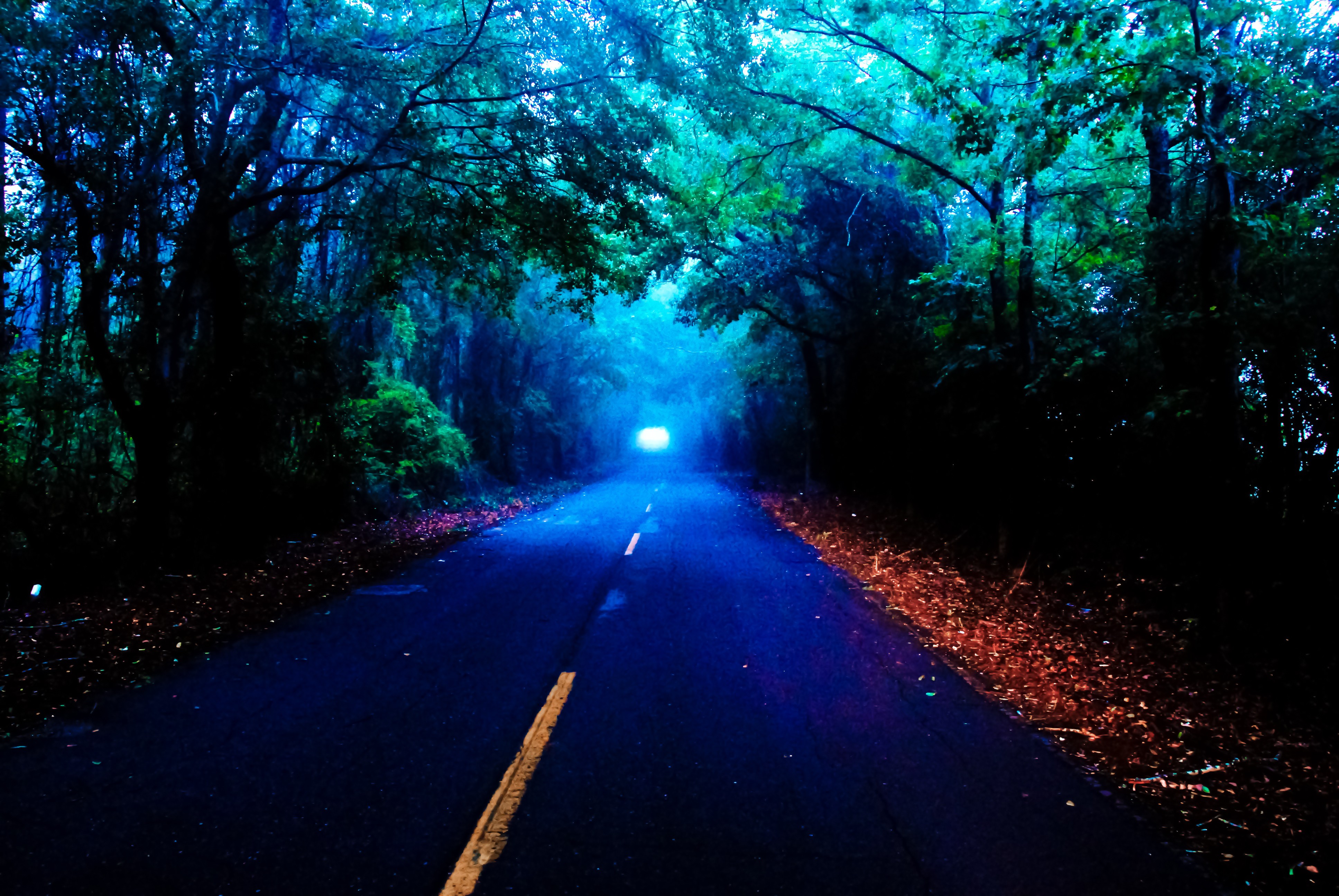 Free download wallpaper Road, Tree, Fog, Fall, Evening, Man Made on your PC desktop