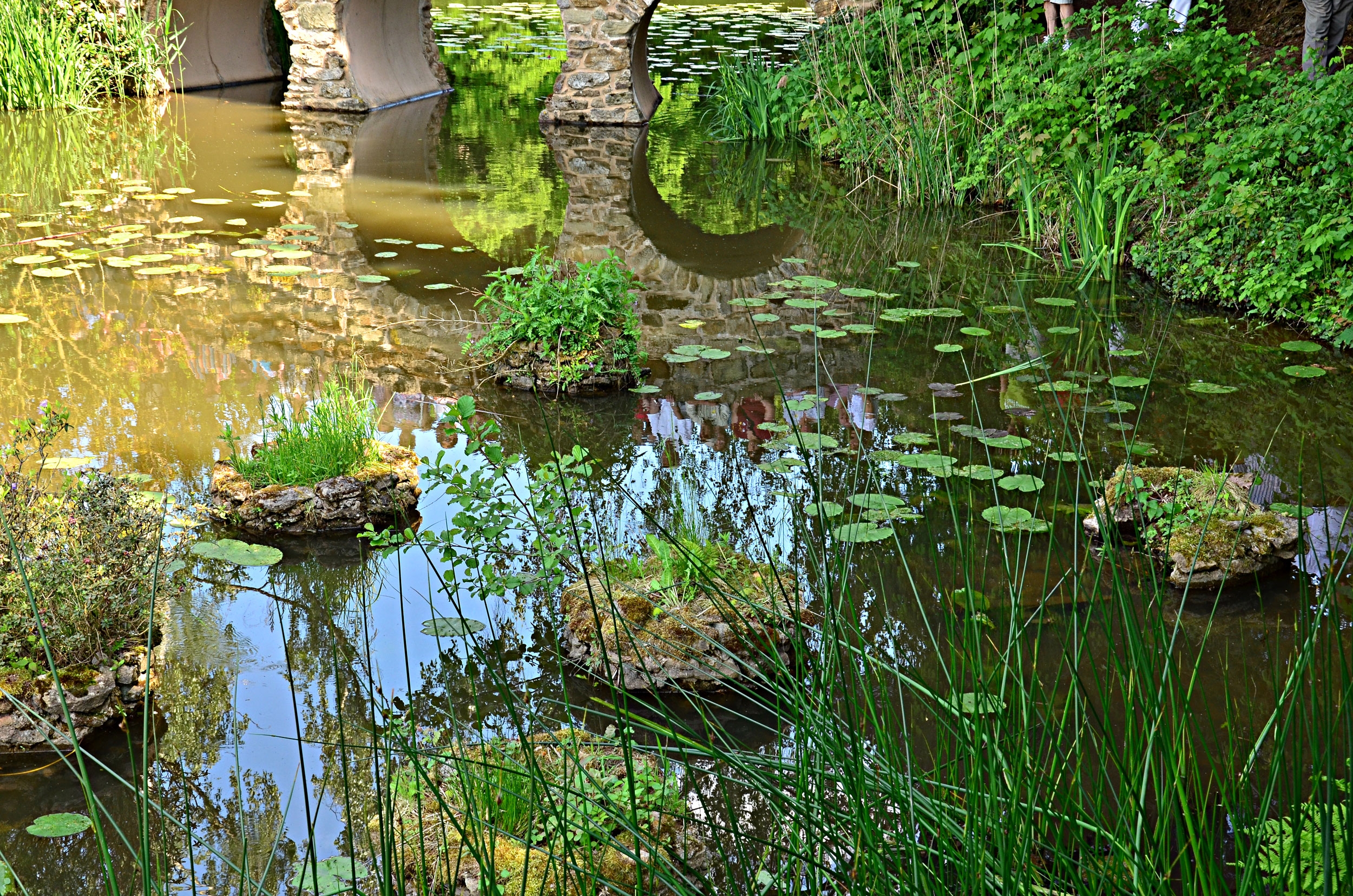 Téléchargez des papiers peints mobile Pont, Nature, Végétation, L'eau, Bassin gratuitement.