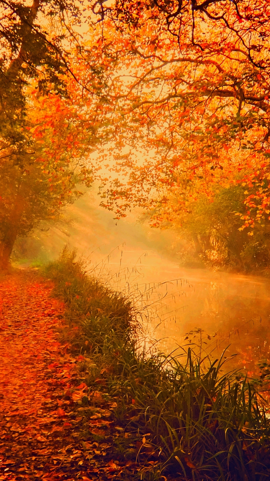 Download mobile wallpaper Forest, Fall, Earth, River for free.