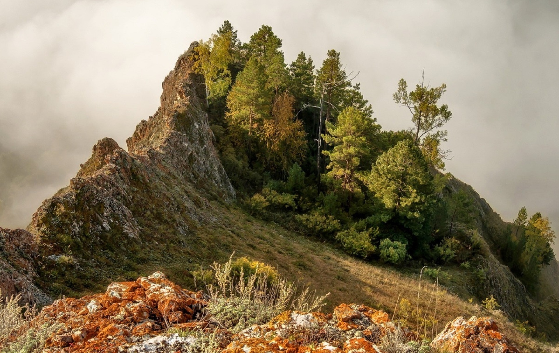 Téléchargez des papiers peints mobile Montagnes, Montagne, Arbre, Terre/nature gratuitement.