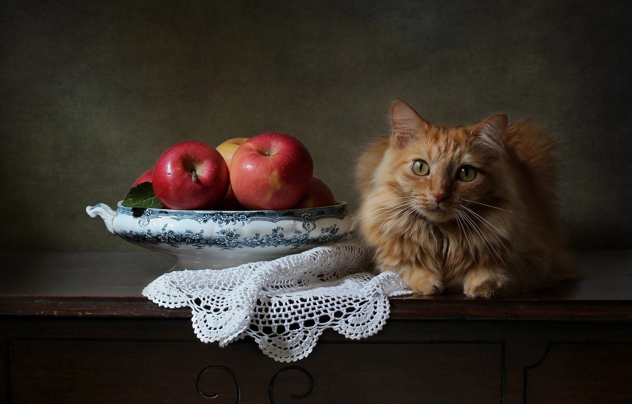 Handy-Wallpaper Tiere, Katzen, Katze, Frucht, Apfel kostenlos herunterladen.