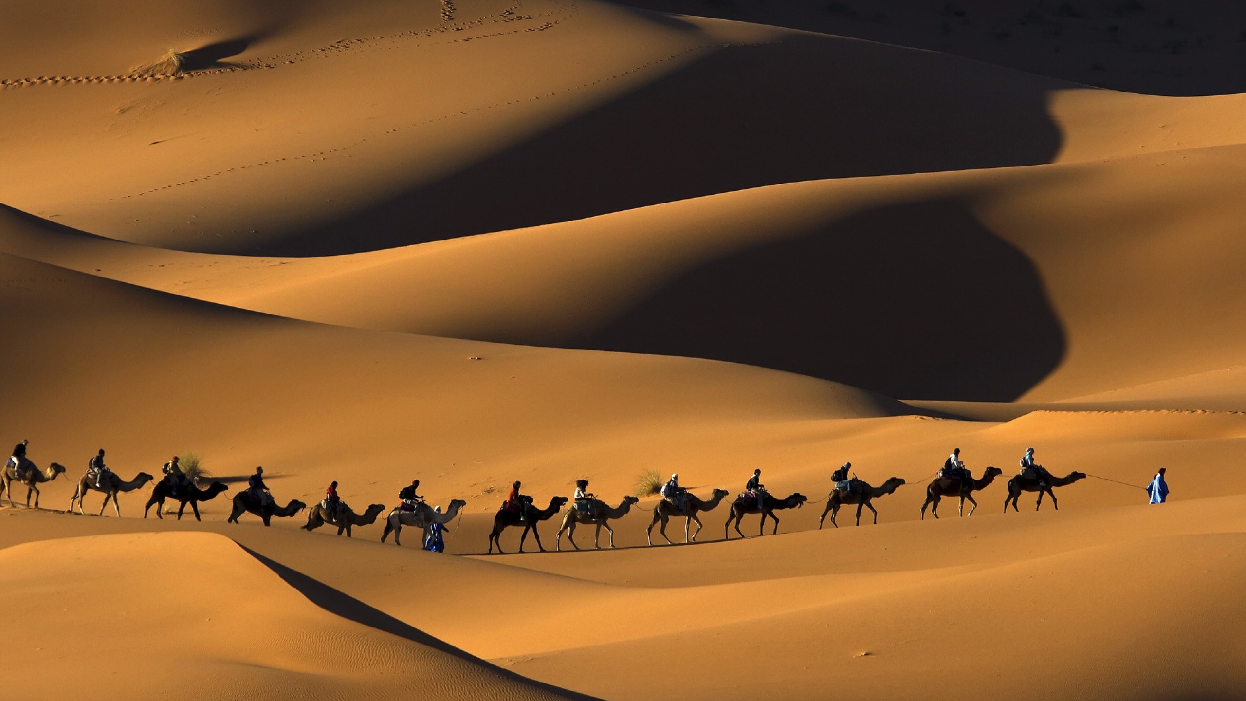 533681 baixar papel de parede fotografia, caravana, caravana de camelos, camelo, deserto, marrocos, pessoa, areia - protetores de tela e imagens gratuitamente