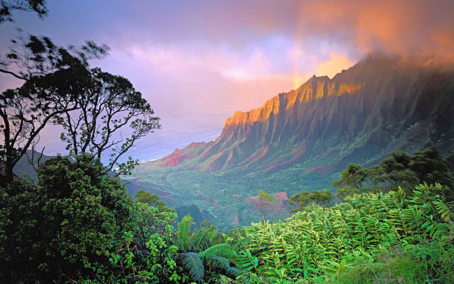 Descarga gratis la imagen Bosque, Tierra/naturaleza en el escritorio de tu PC