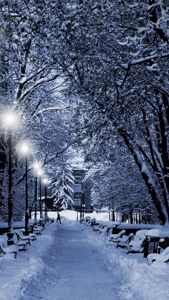 Download mobile wallpaper Winter, Earth for free.