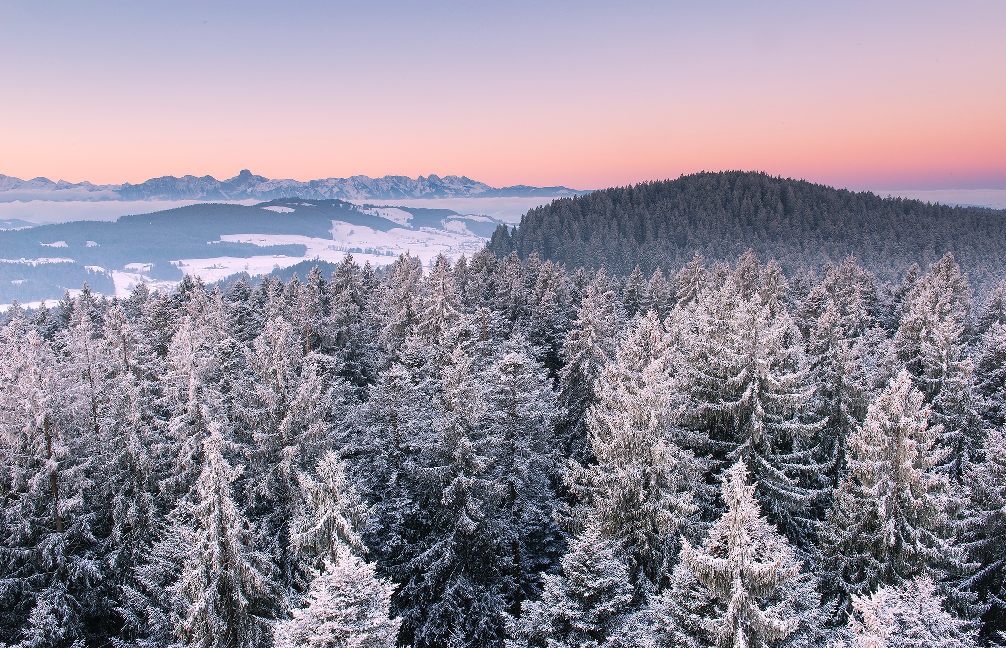 PCデスクトップに風景, 冬, 自然, 森, 地球, 空中画像を無料でダウンロード