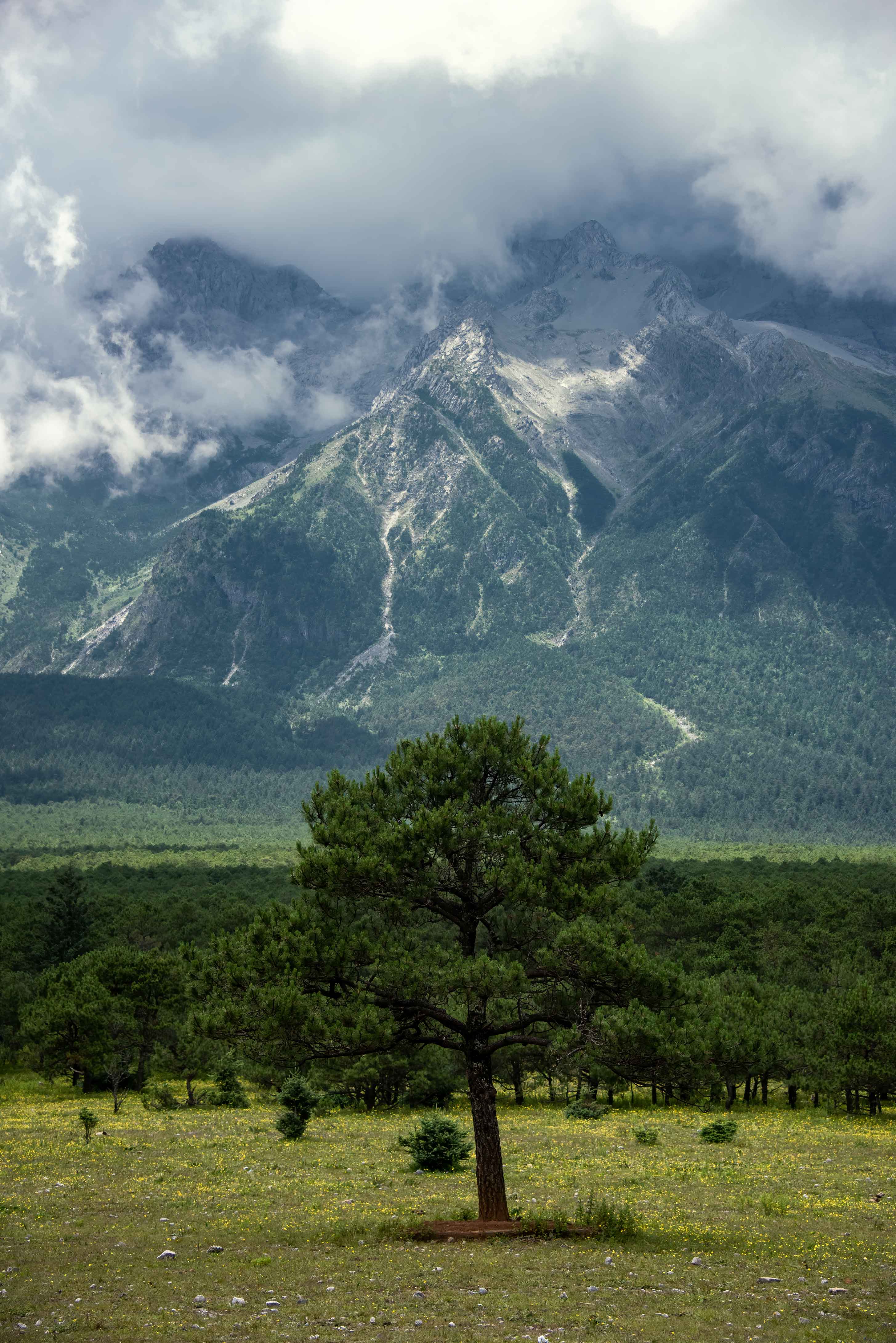 Free download wallpaper Clouds, Mountain, Wood, Tree, Nature, Forest on your PC desktop