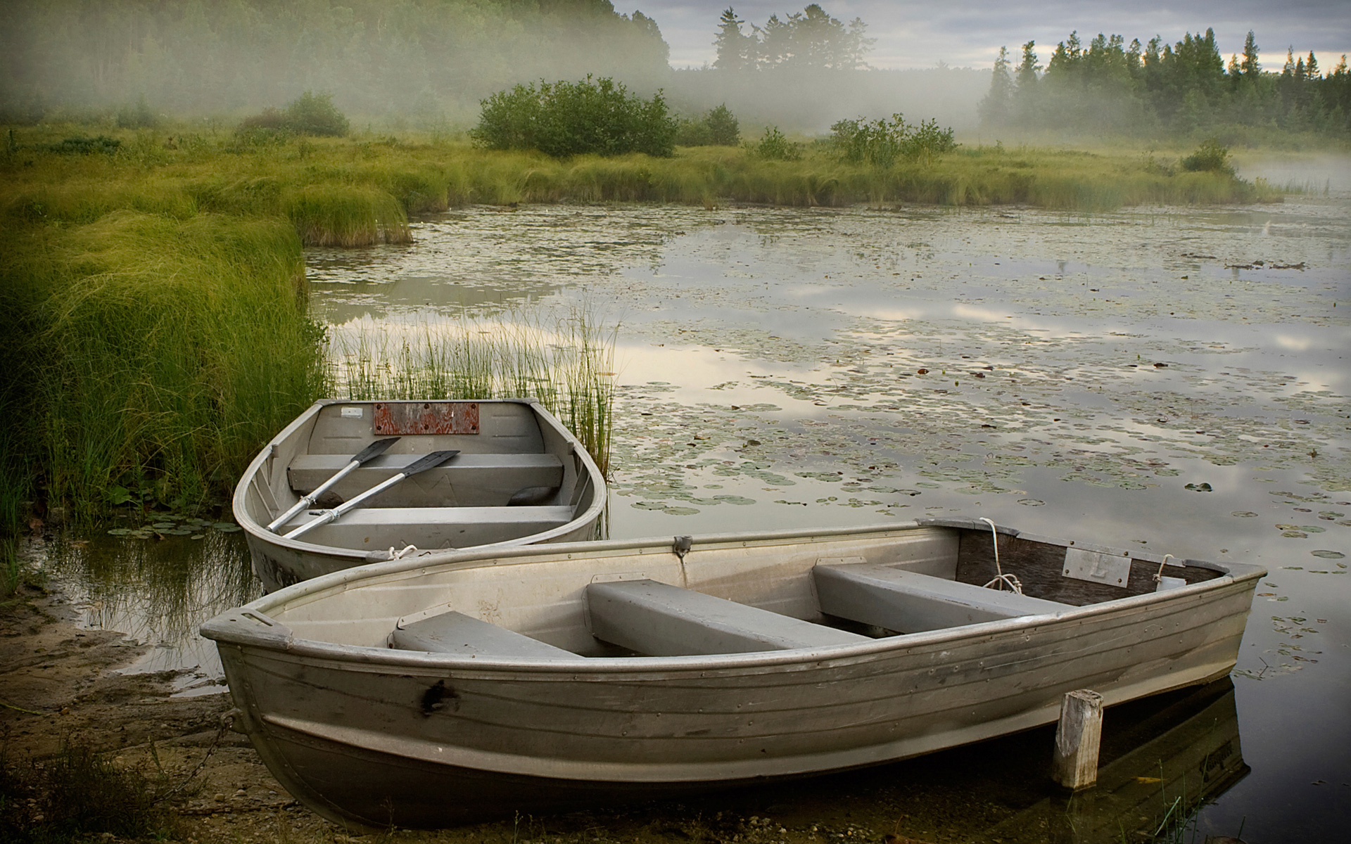 Скачать картинку Озеро, Туман, Лодка, Транспортные Средства, Гребная Лодка в телефон бесплатно.