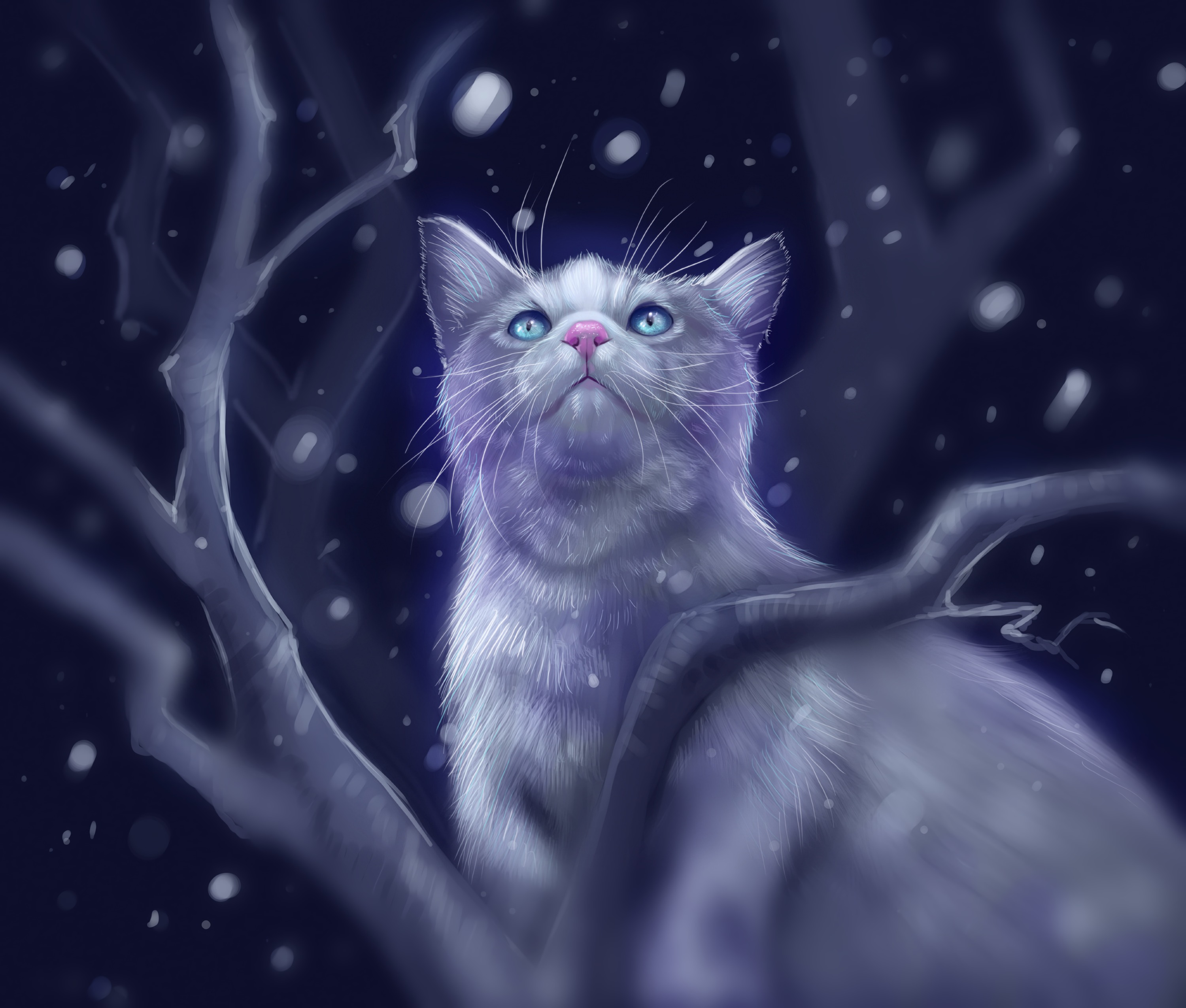 Download background cat, art, snow, glare, sight, opinion