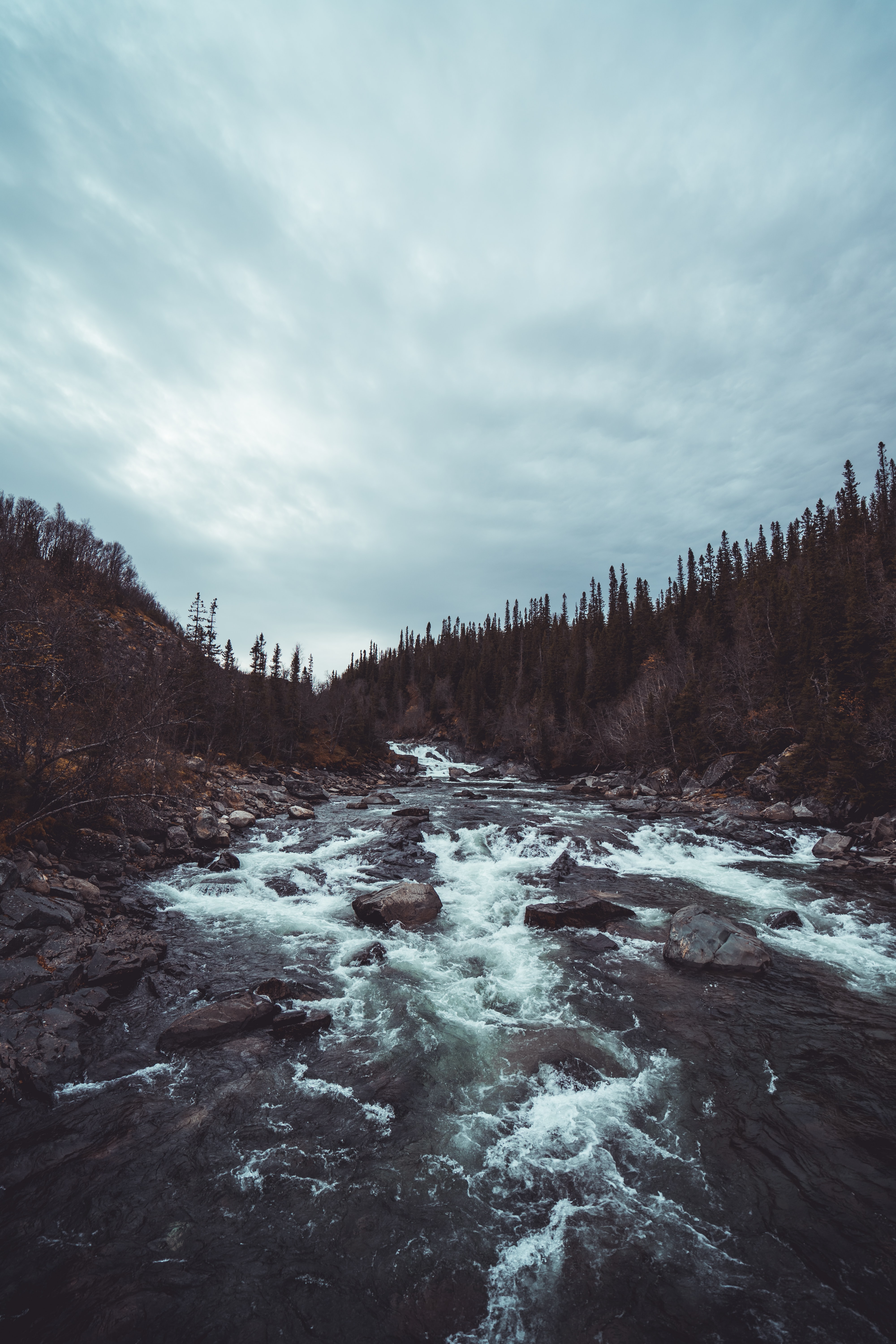Free download wallpaper Rivers, Trees, Forest, Flow, Nature on your PC desktop