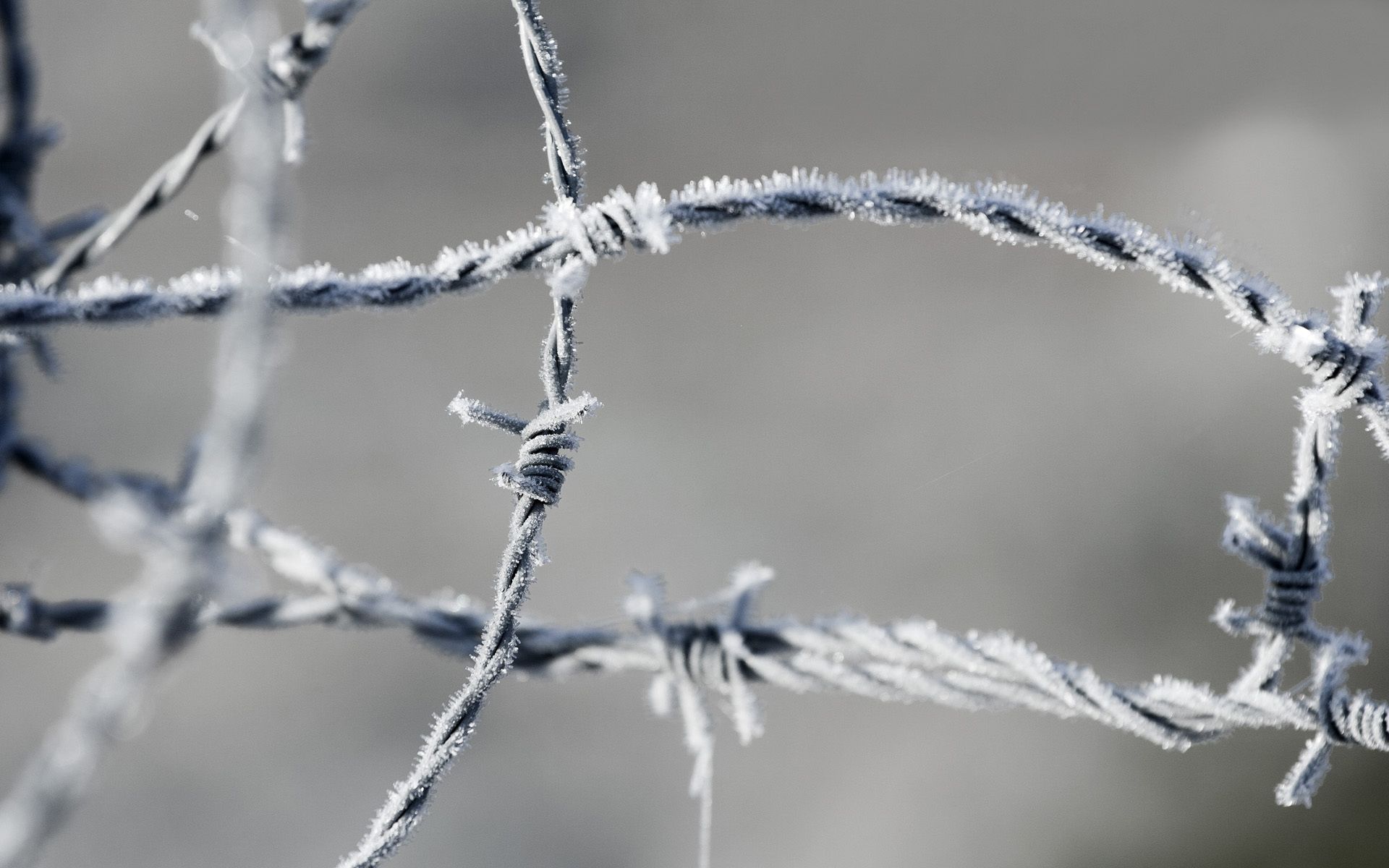 macro, frost, hoarfrost, metal, barbed wire