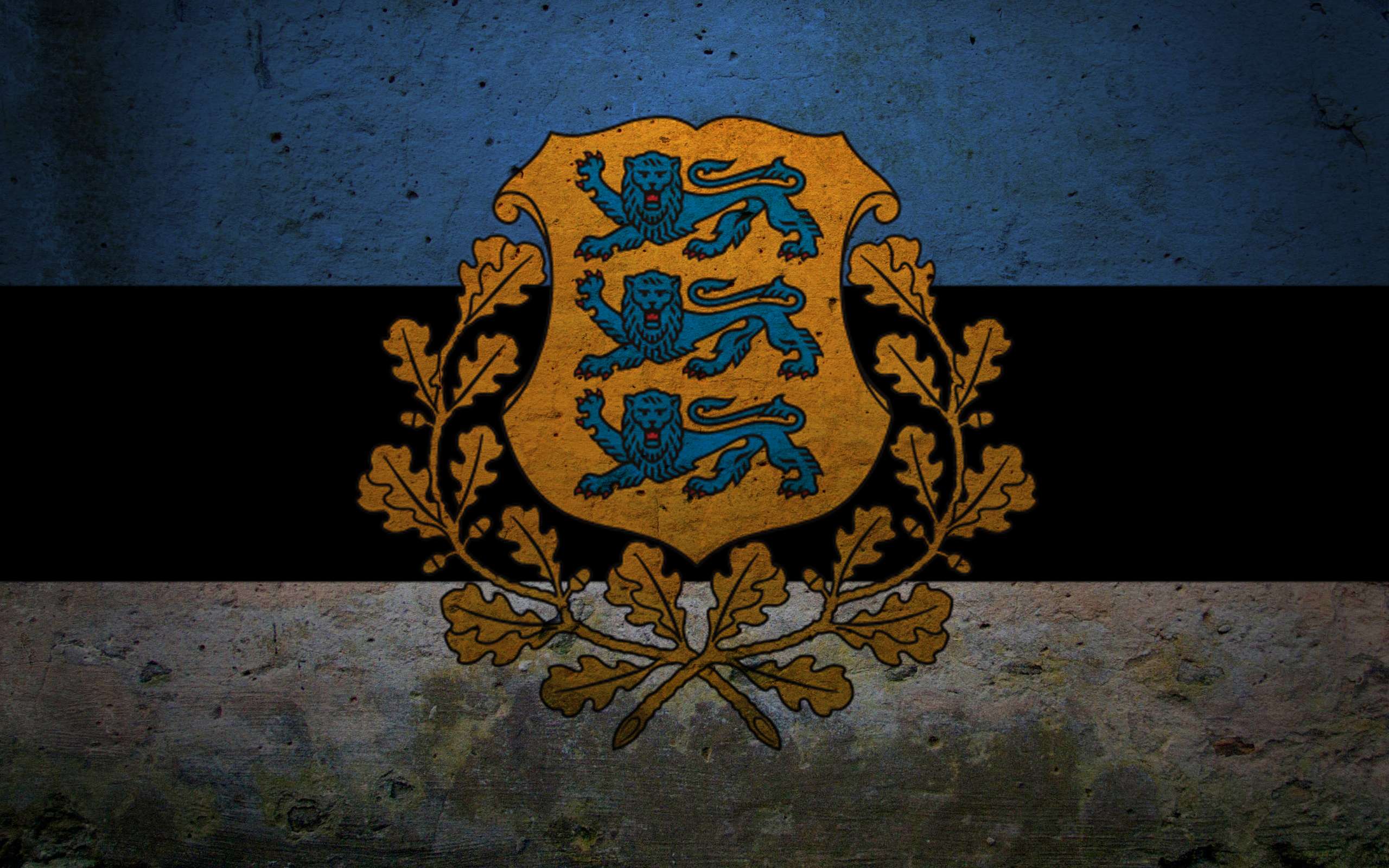 Скачать обои Флаг Эстонии на телефон бесплатно