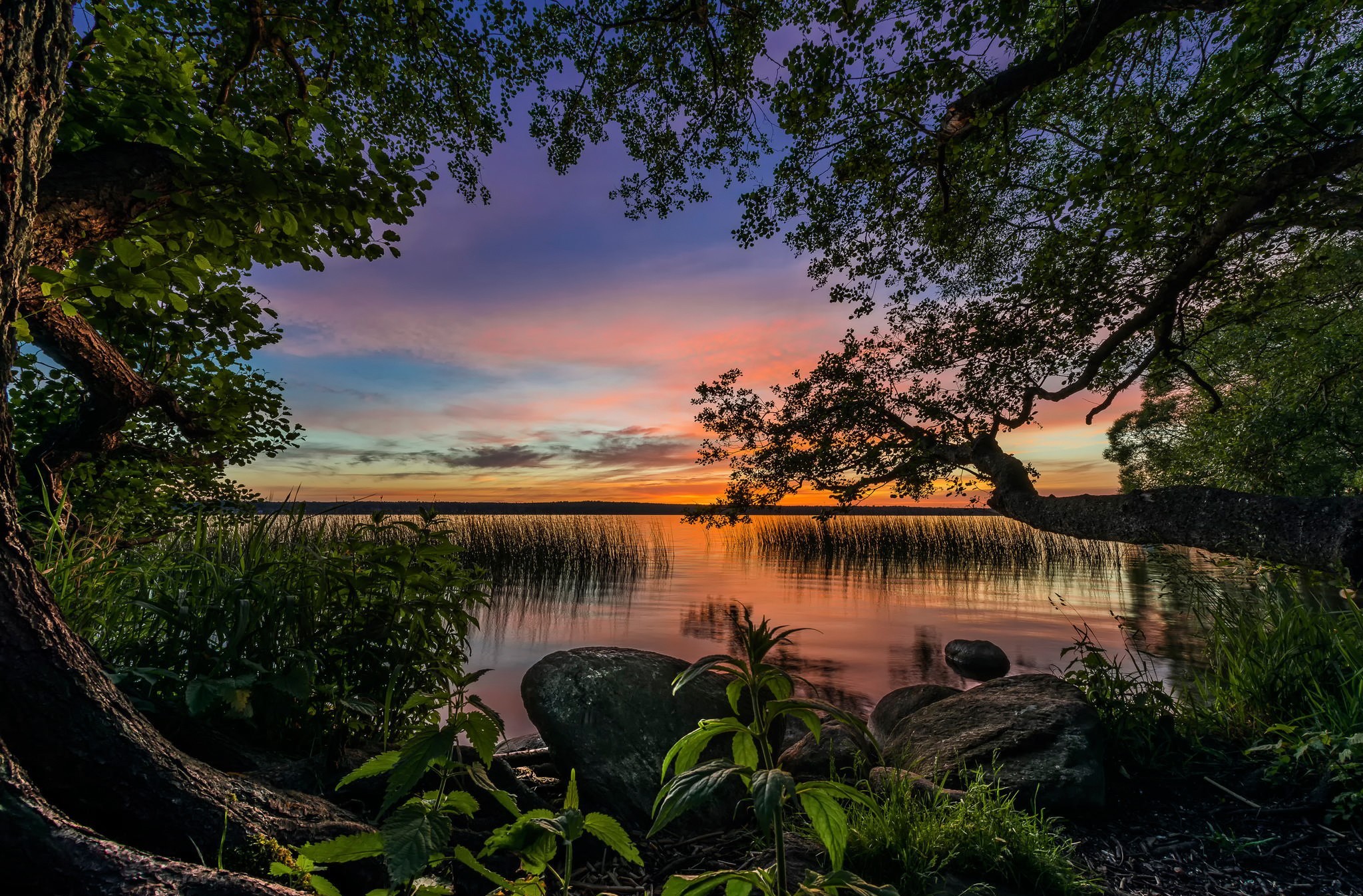 Download mobile wallpaper Sunrise, Lakes, Lake, Tree, Earth for free.