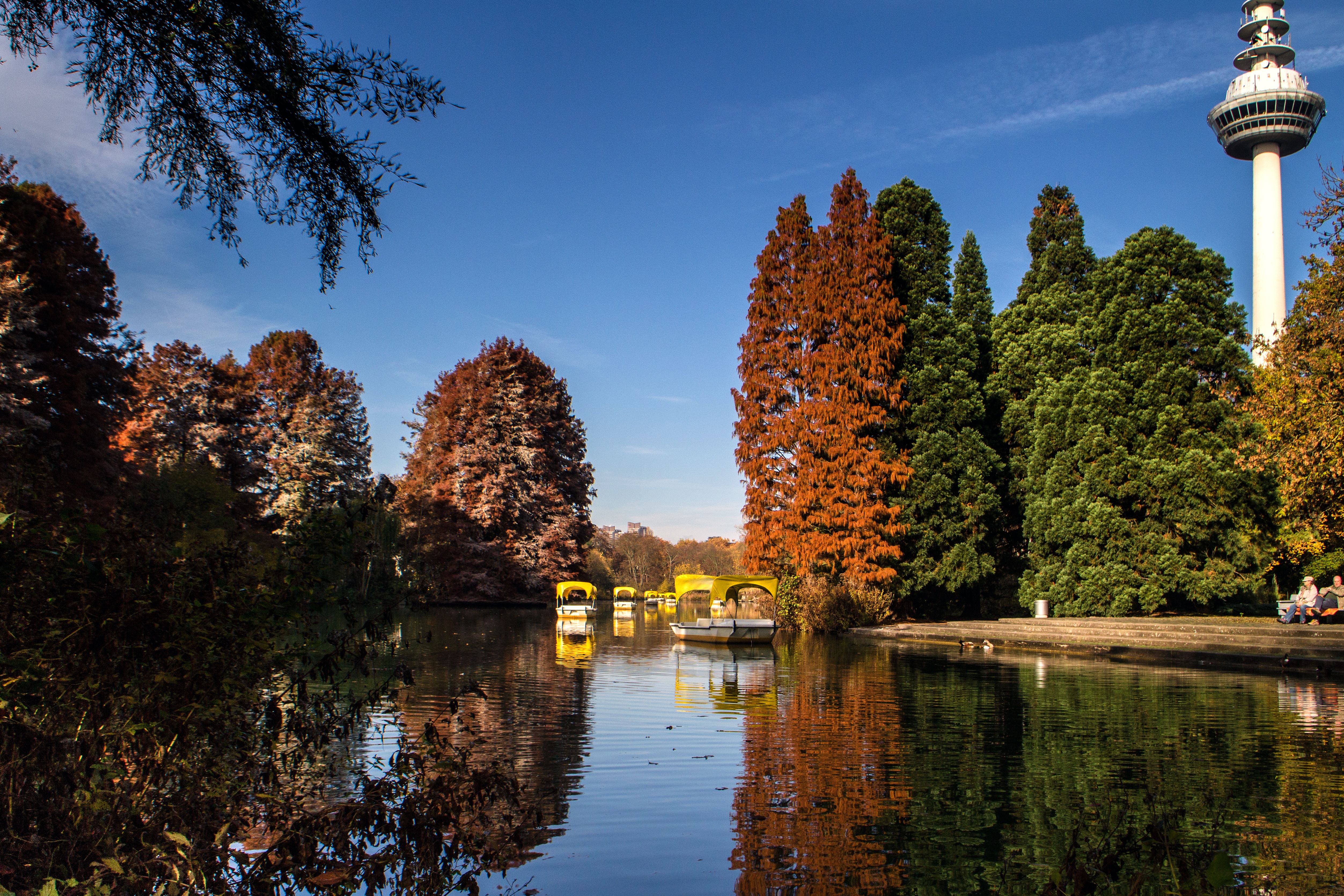 Free download wallpaper Trees, Nature, Lake, Reflection, Park, Autumn on your PC desktop