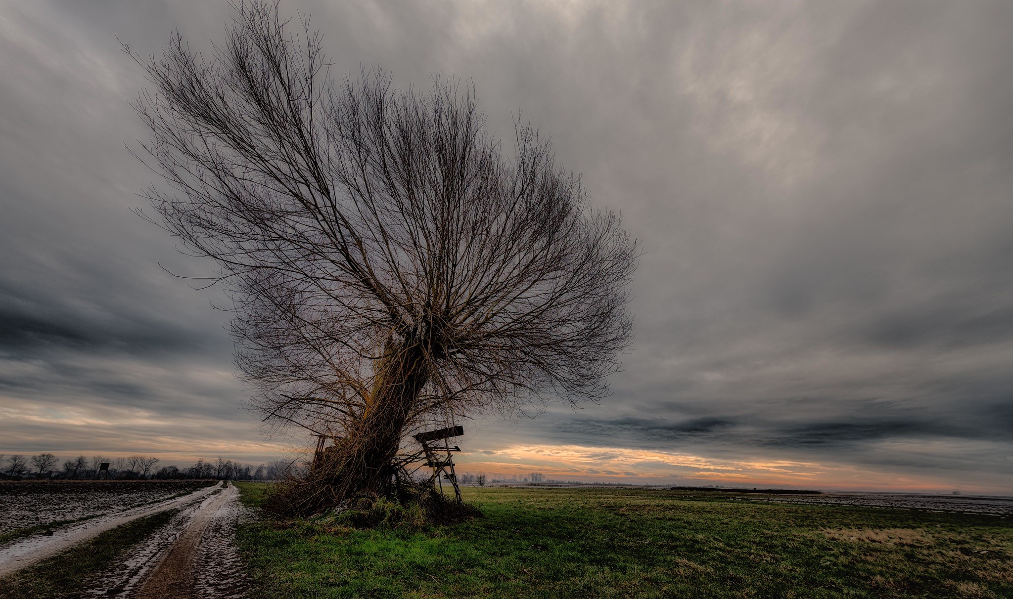 Download mobile wallpaper Landscape, Road, Tree, Field, Cloud, Photography for free.